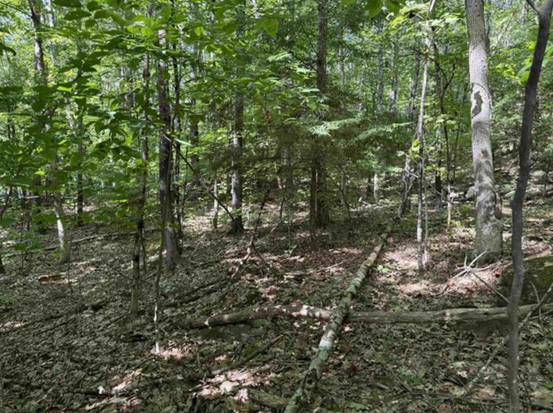 Webster NH Land for sale $$95,000 | 0.67 Acres  | Price Per Acre $0  | Total Lots 3