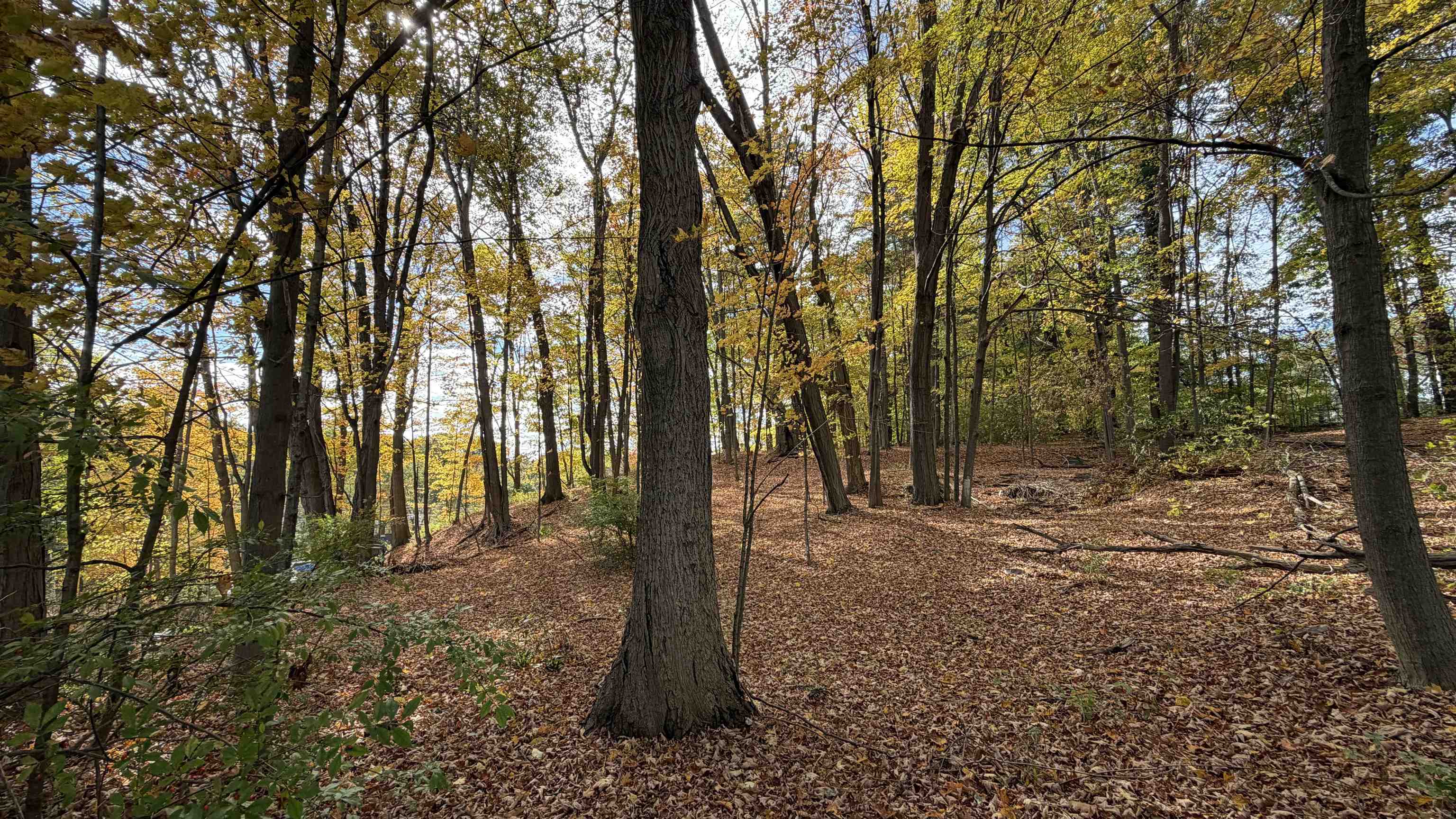 MLS #5066307 image #42