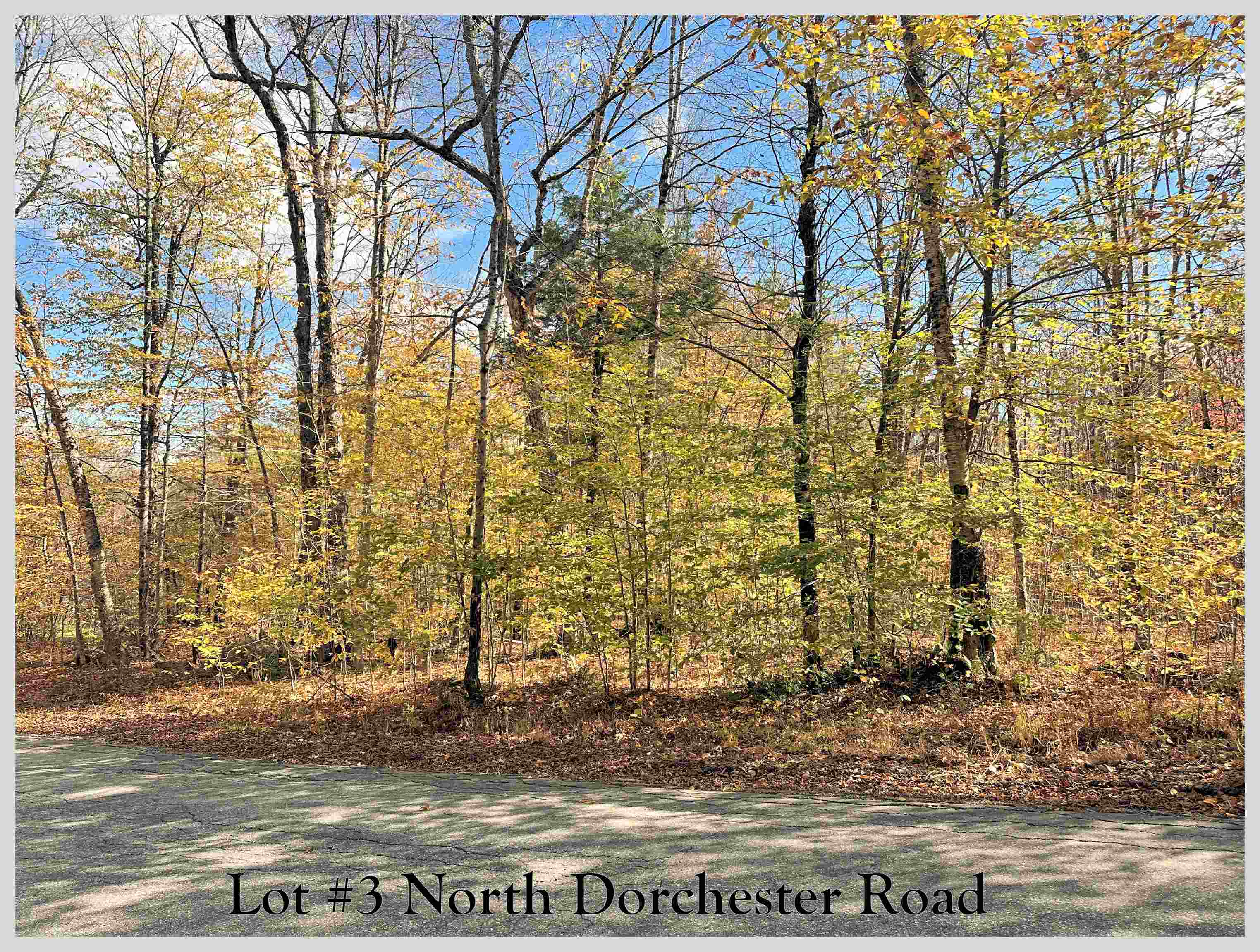 Wentworth NH Land for sale $$74,900 | 5.06 Acres  | Price Per Acre $0  | Total Lots 3
