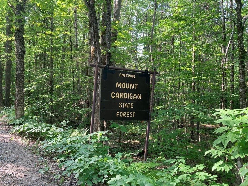 Hike Mt. Cardigan 24297150