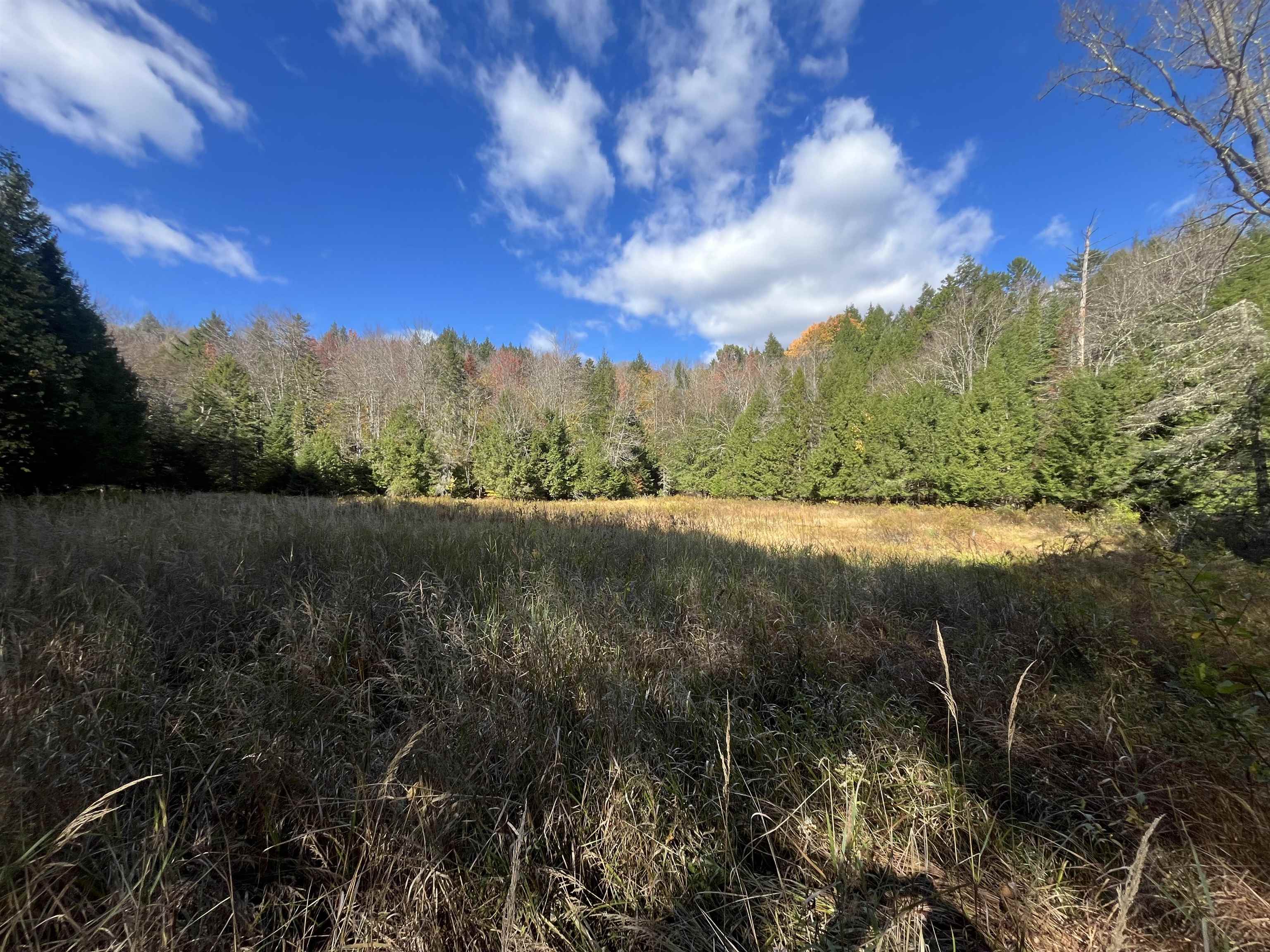 Homes for sale in Moretown, VT | 720 Bat Hennessy Rd Rd, Moretown, VT 05660 | MLS# 5066337