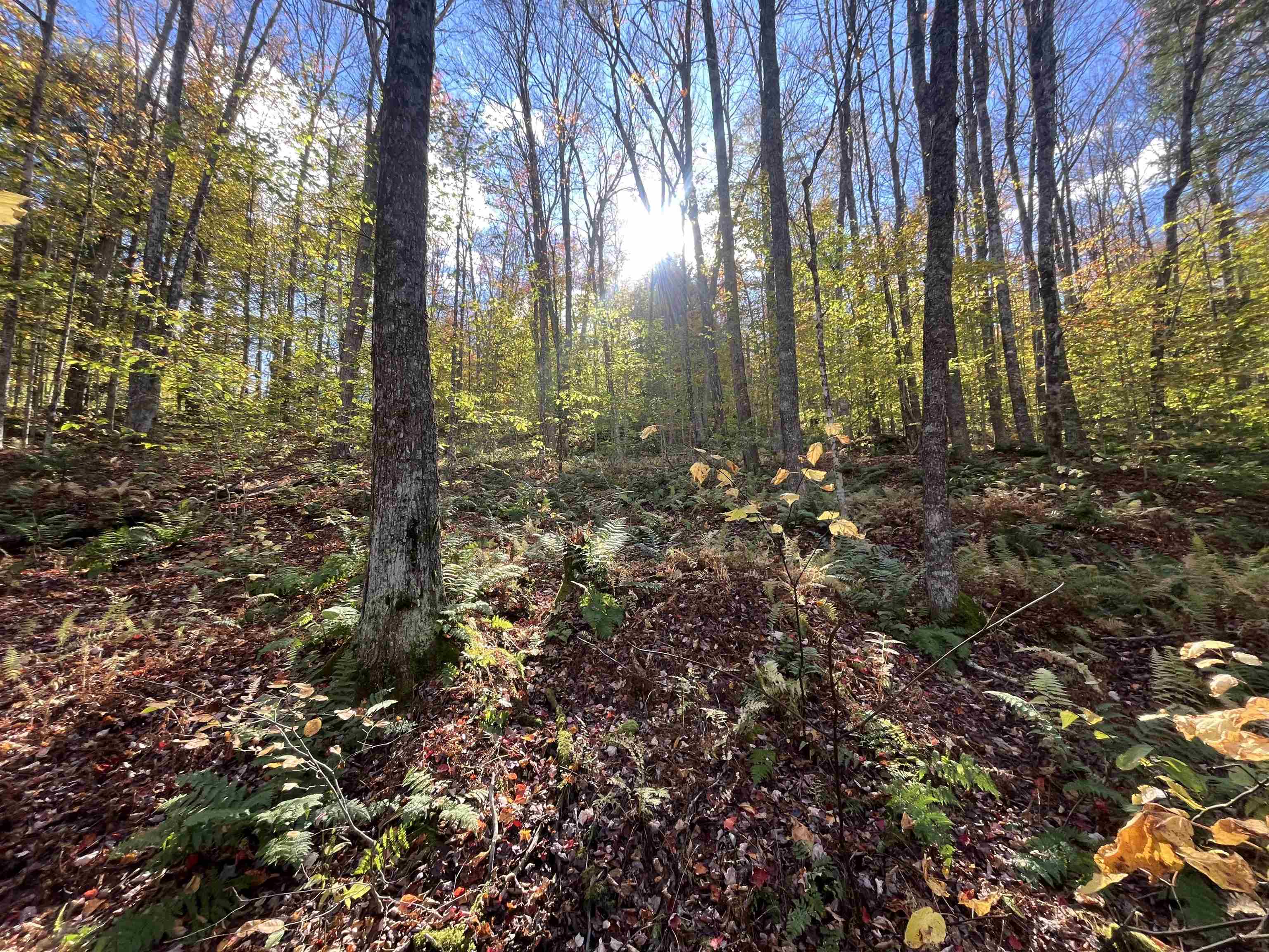 Homes for sale in Moretown, VT | 720 Bat Hennessy Rd Rd, Moretown, VT 05660 | MLS# 5066337