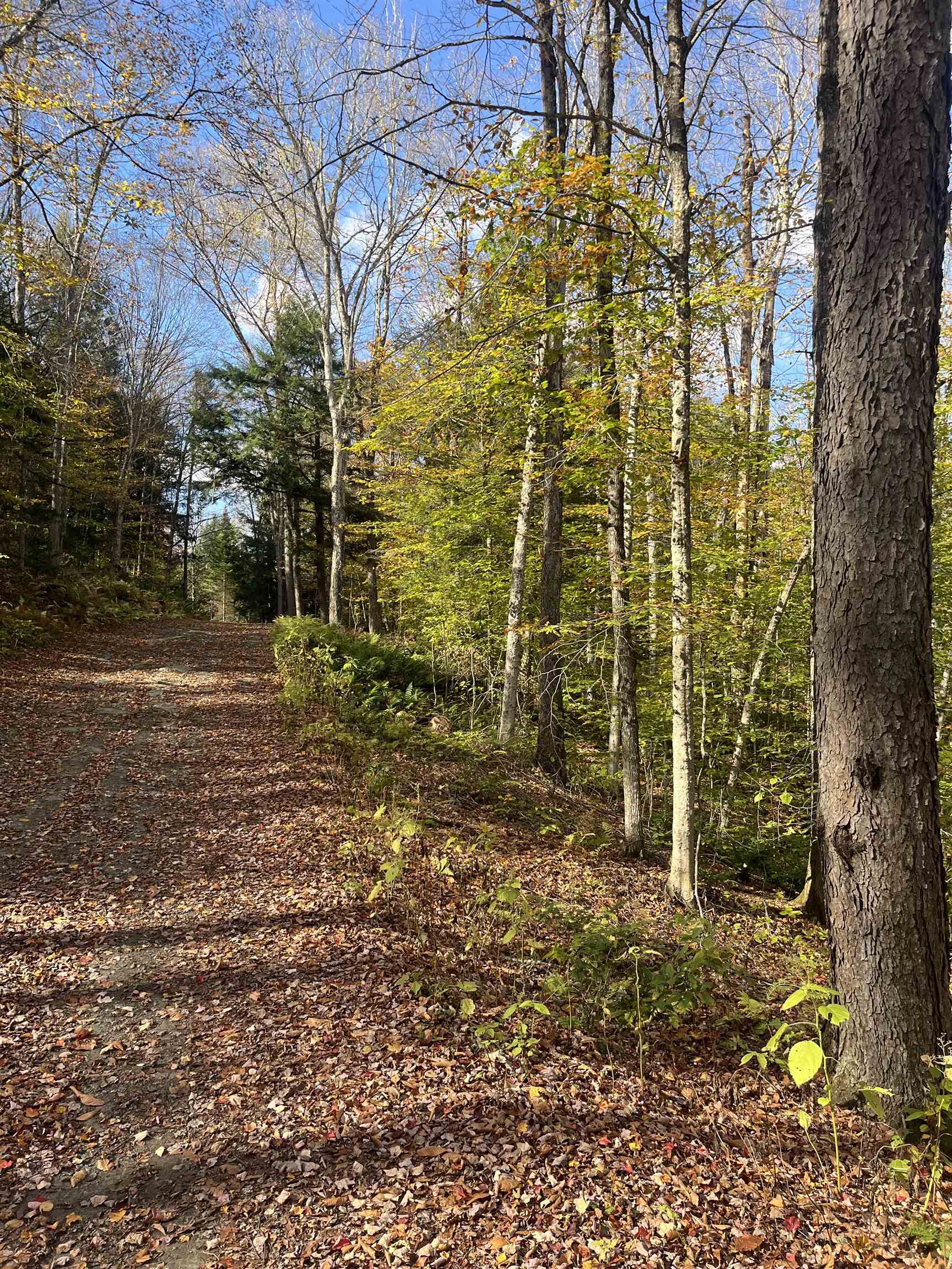 Homes for sale in Moretown, VT | 720 Bat Hennessy Rd Rd, Moretown, VT 05660 | MLS# 5066337