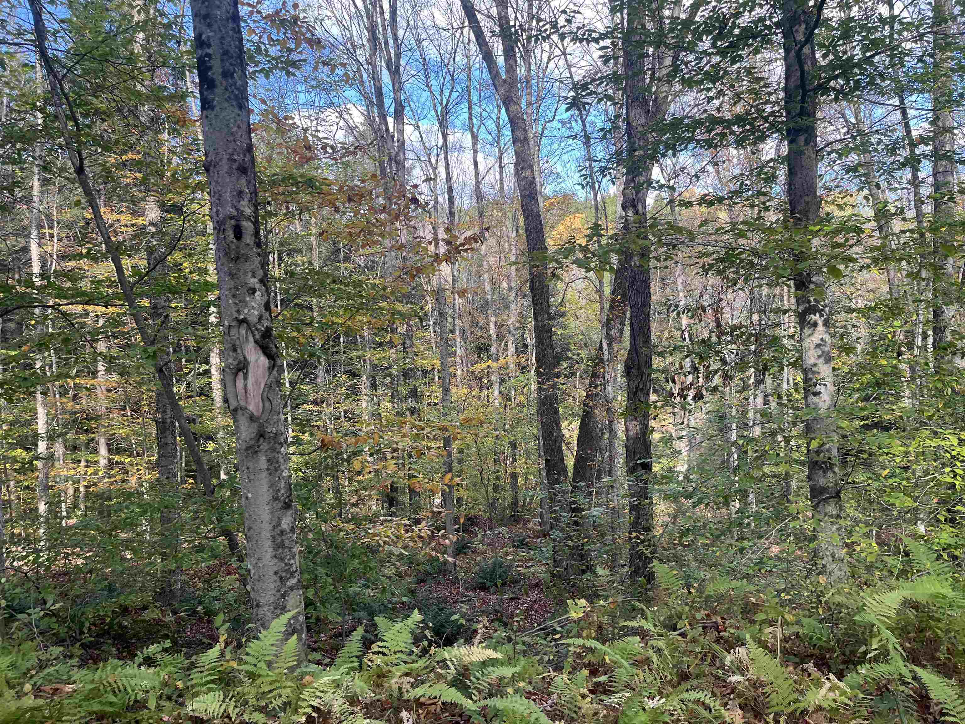 Homes for sale in Moretown, VT | 720 Bat Hennessy Rd Rd, Moretown, VT 05660 | MLS# 5066337