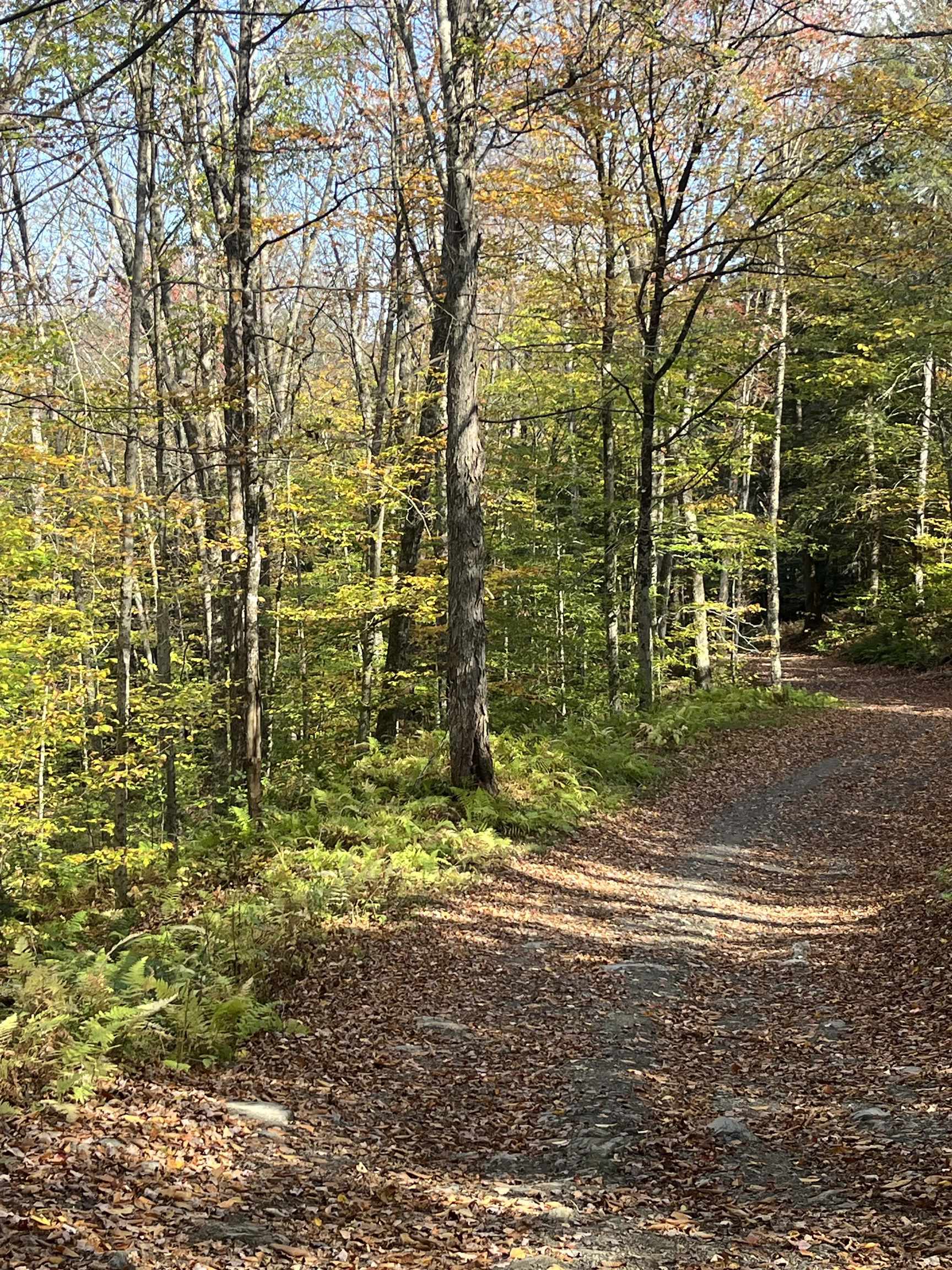 Homes for sale in Moretown, VT | 720 Bat Hennessy Rd Rd, Moretown, VT 05660 | MLS# 5066337