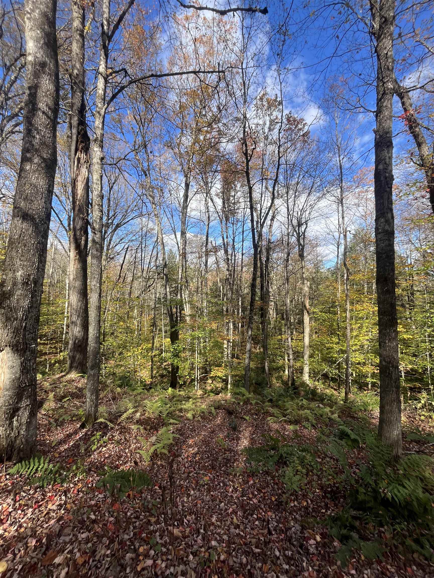 Homes for sale in Moretown, VT | 720 Bat Hennessy Rd Rd, Moretown, VT 05660 | MLS# 5066337