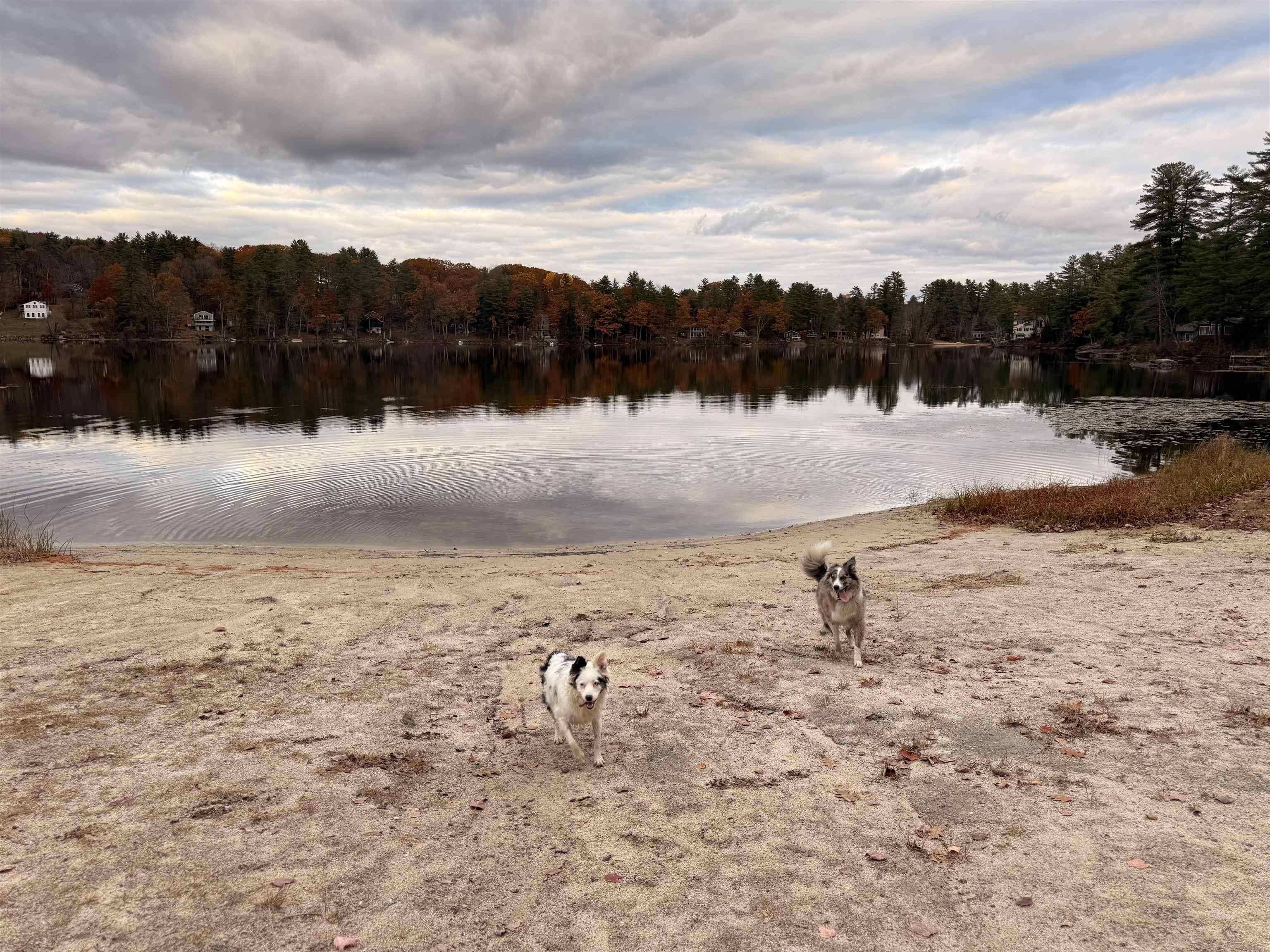 MLS #5066380 image #4