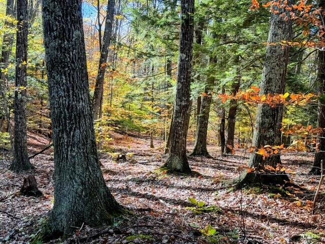 Homes for sale in Gilsum, NH | 29&31 White Brook Rd, Gilsum, NH 03448 | MLS# 5066390