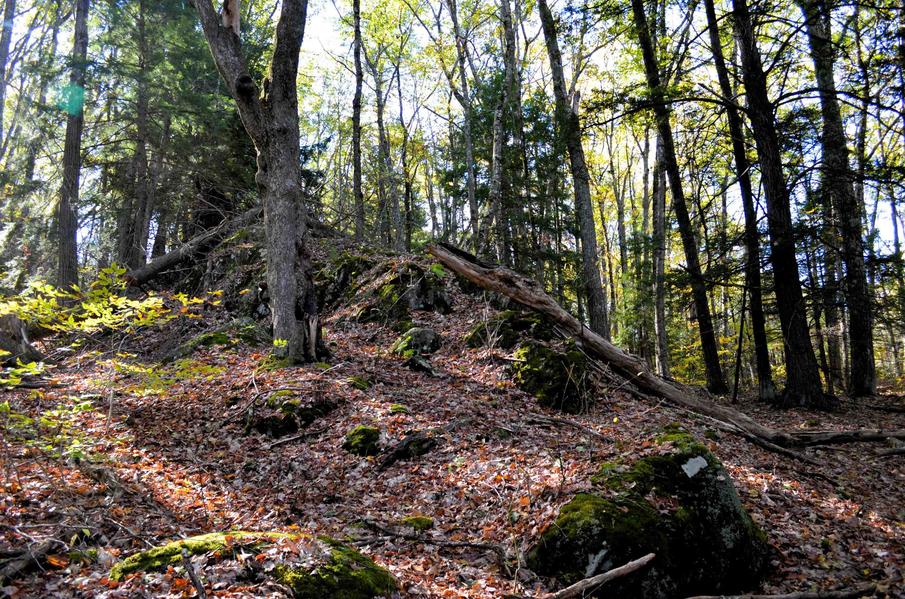 Homes for sale in Gilsum, NH | 29&31 White Brook Rd, Gilsum, NH 03448 | MLS# 5066390