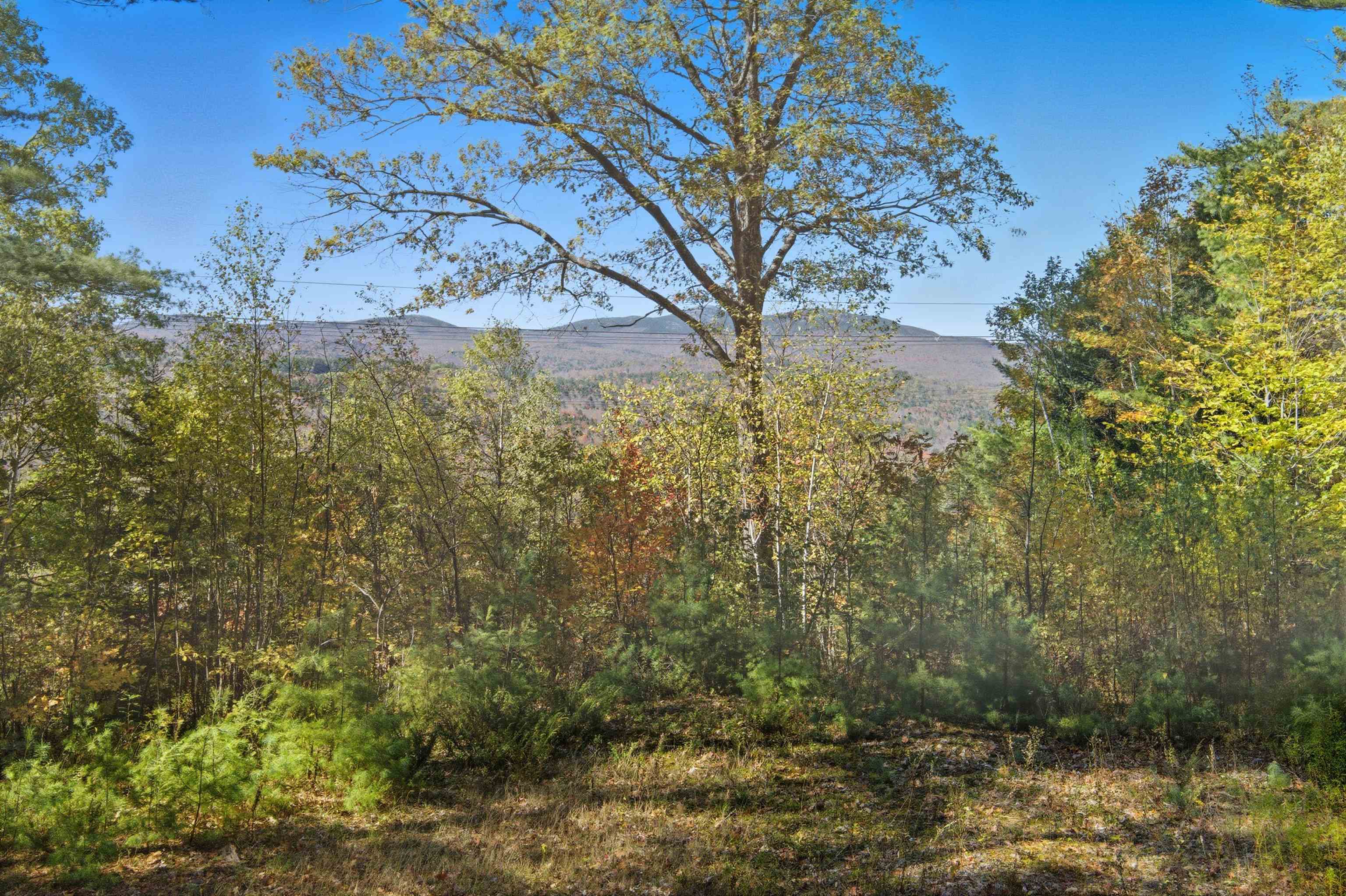 MLS #5066410 image #25