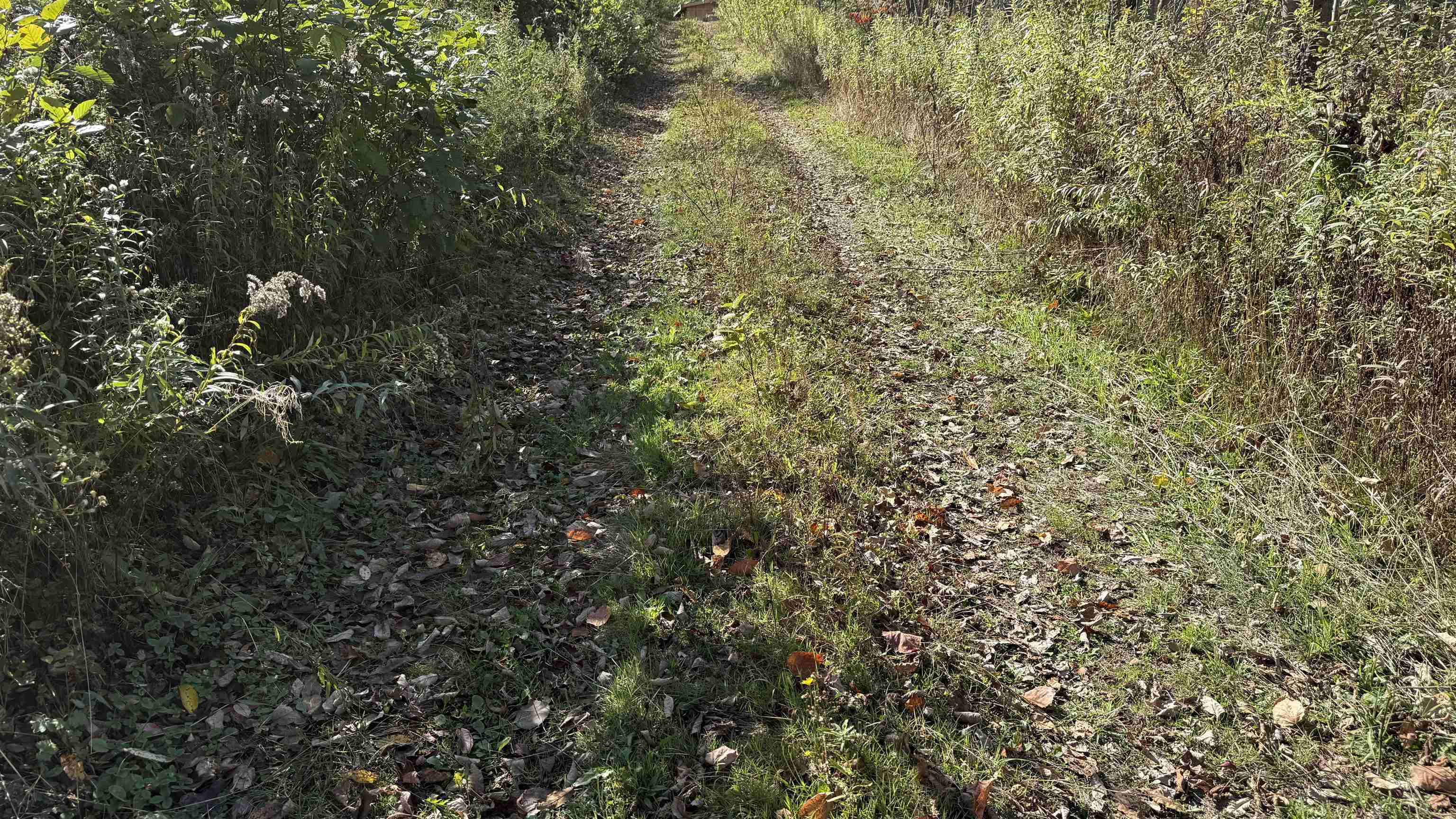 Homes for sale in Johnson, VT | 0 Vt Route 100C, Johnson, VT 05656 | MLS# 5066421