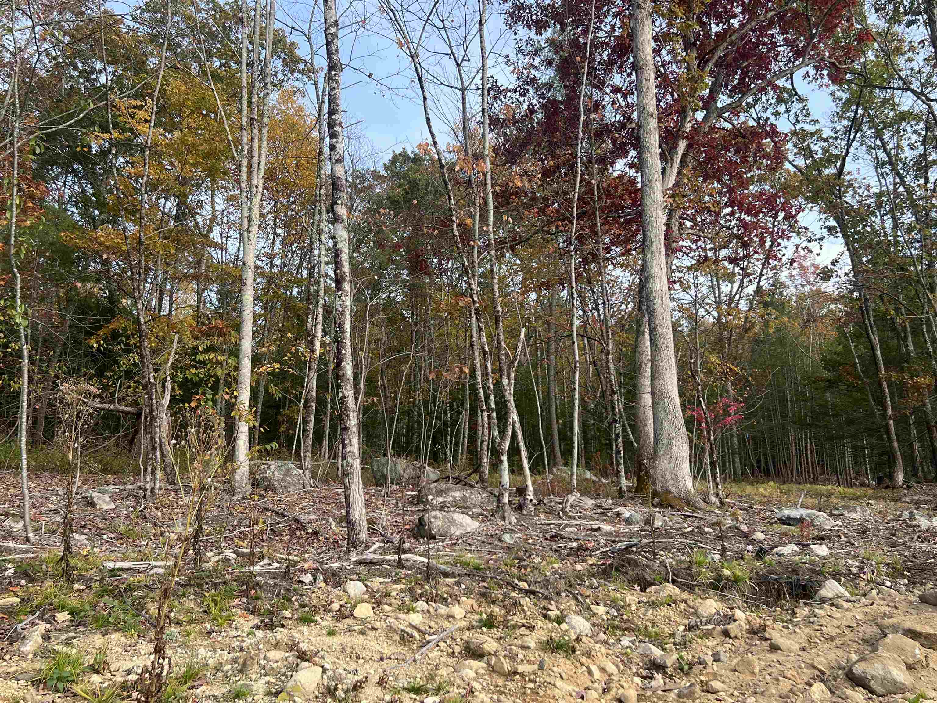 MLS #5066500 image #25