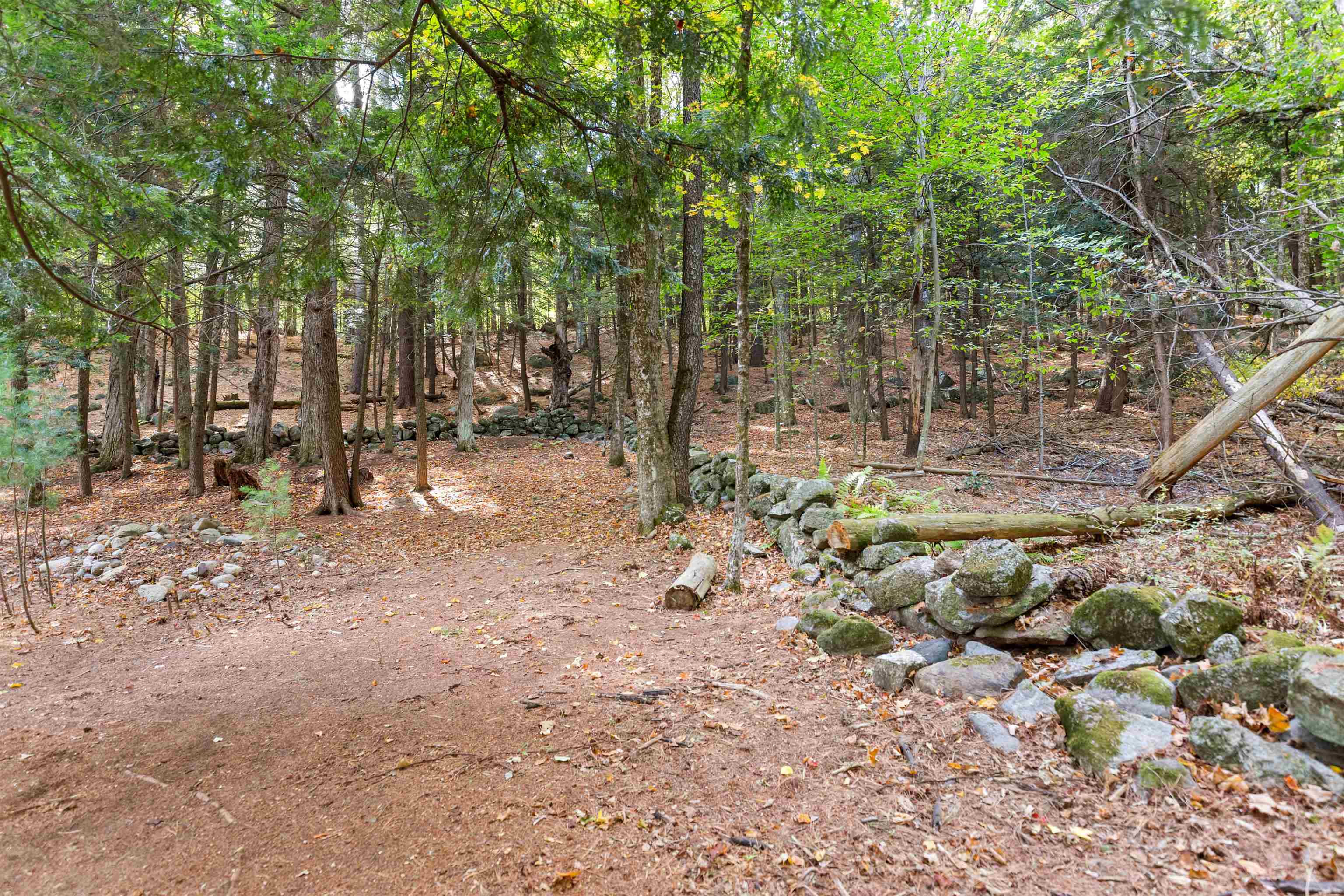 MLS #5066547 image #53