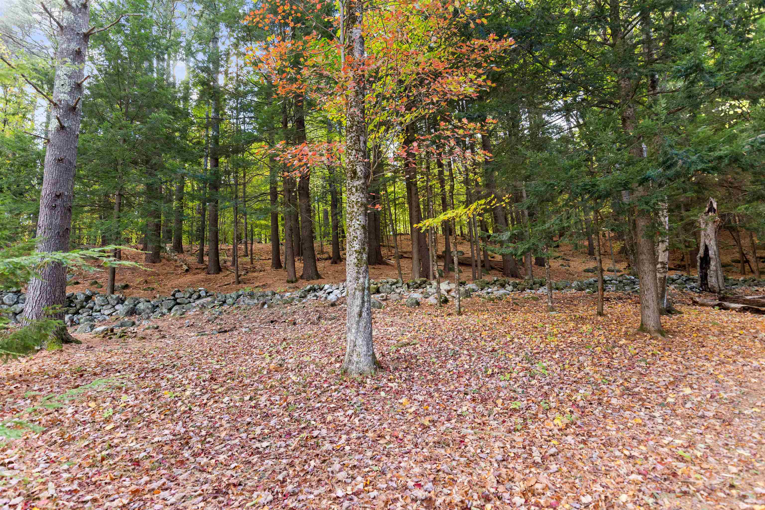 MLS #5066547 image #54