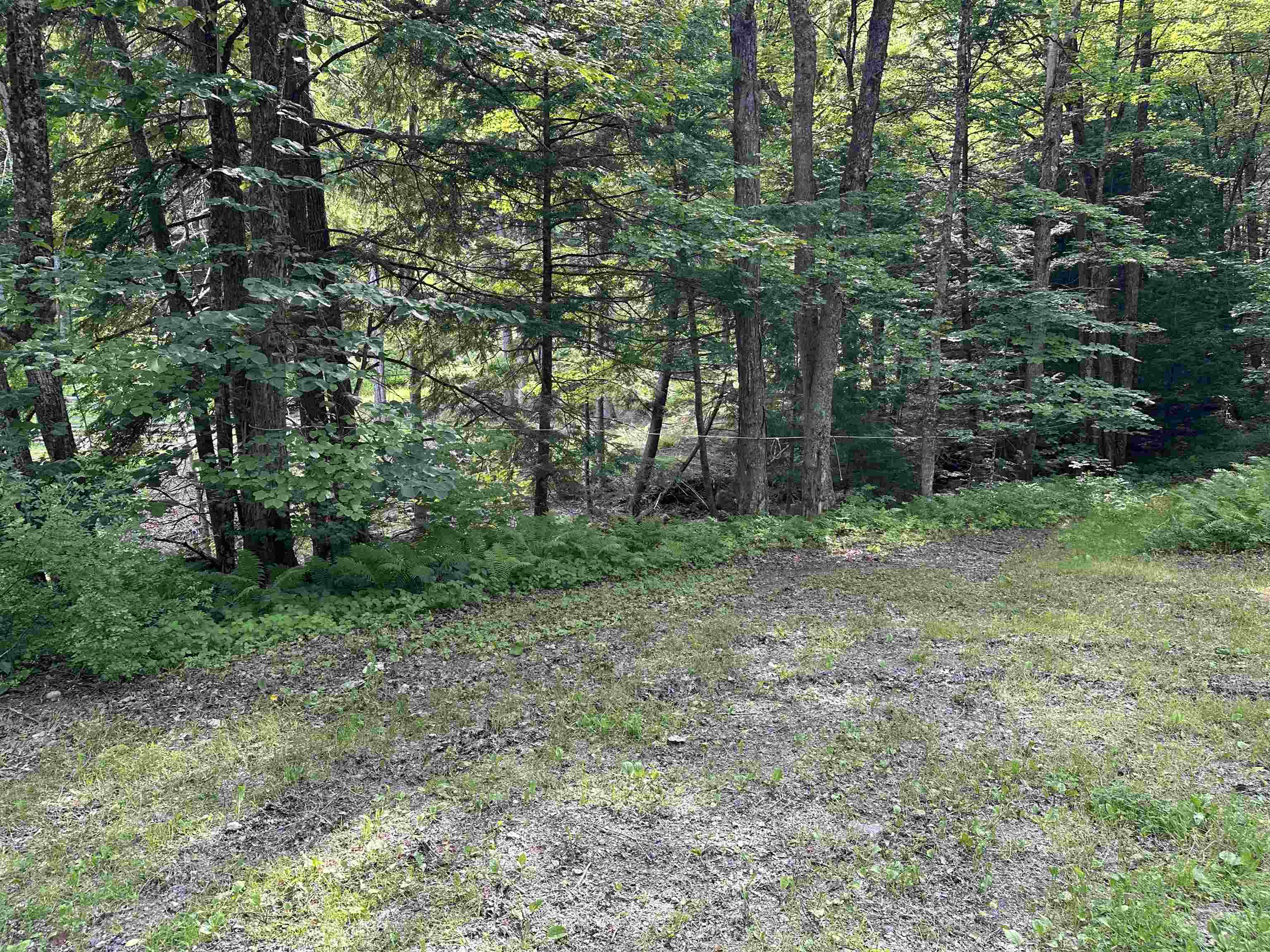 WEATHERSFIELD VT LAND  for sale $$168,000 | 56.9 Acres  | Price Per Acre $0