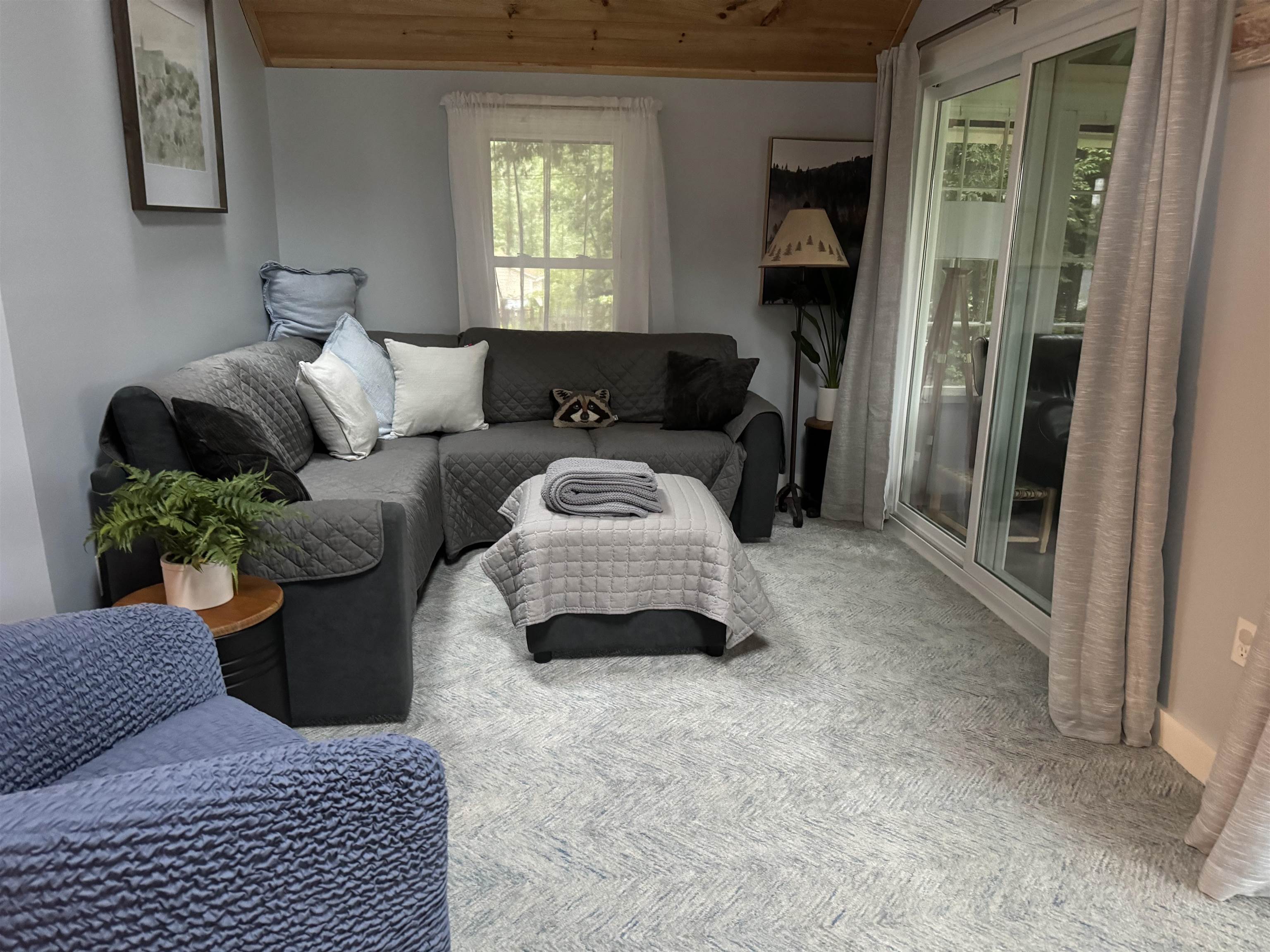 Living Room 24312527