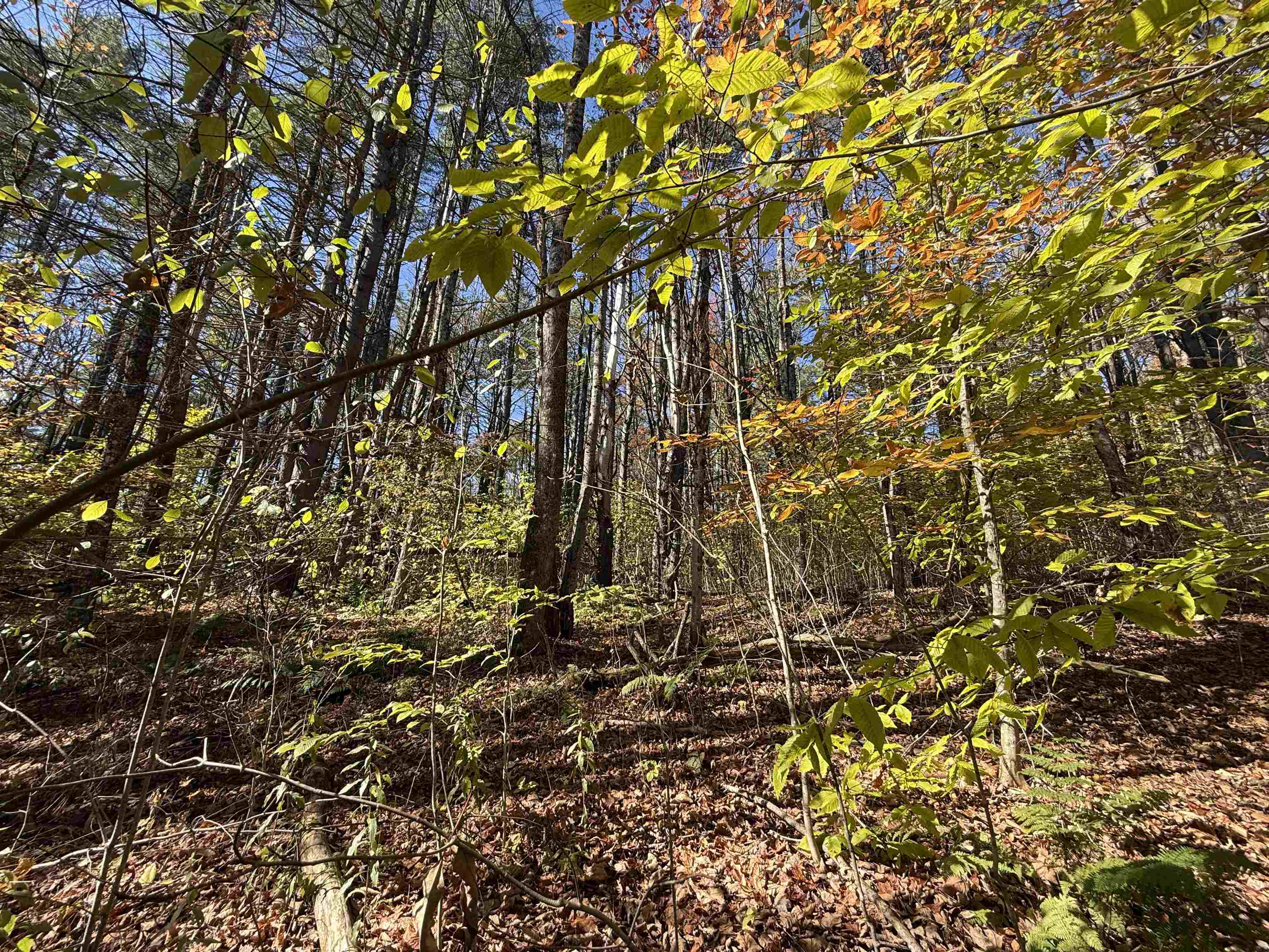 MLS #5066814 image #23