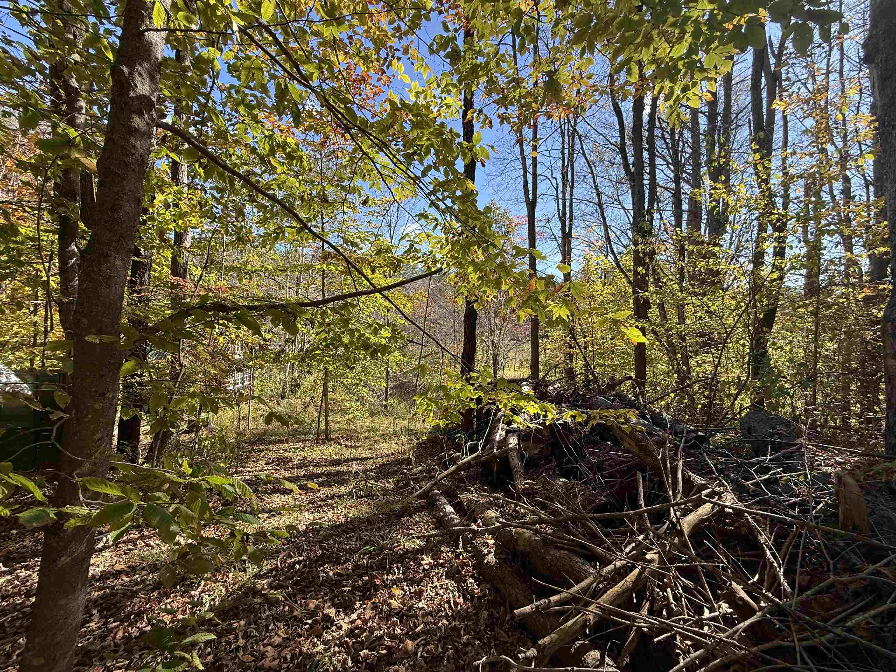 MLS #5066814 image #24