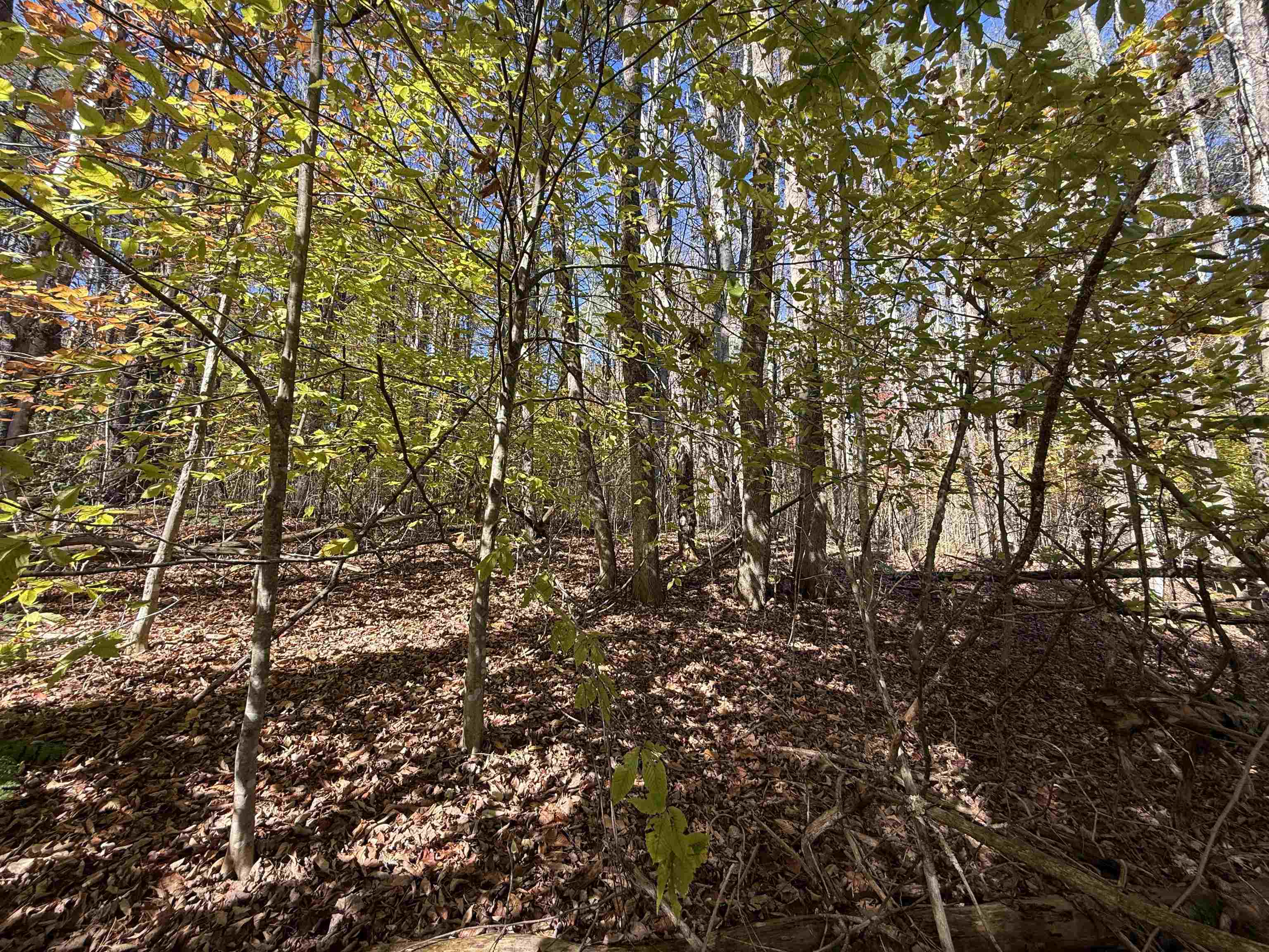 MLS #5066814 image #25