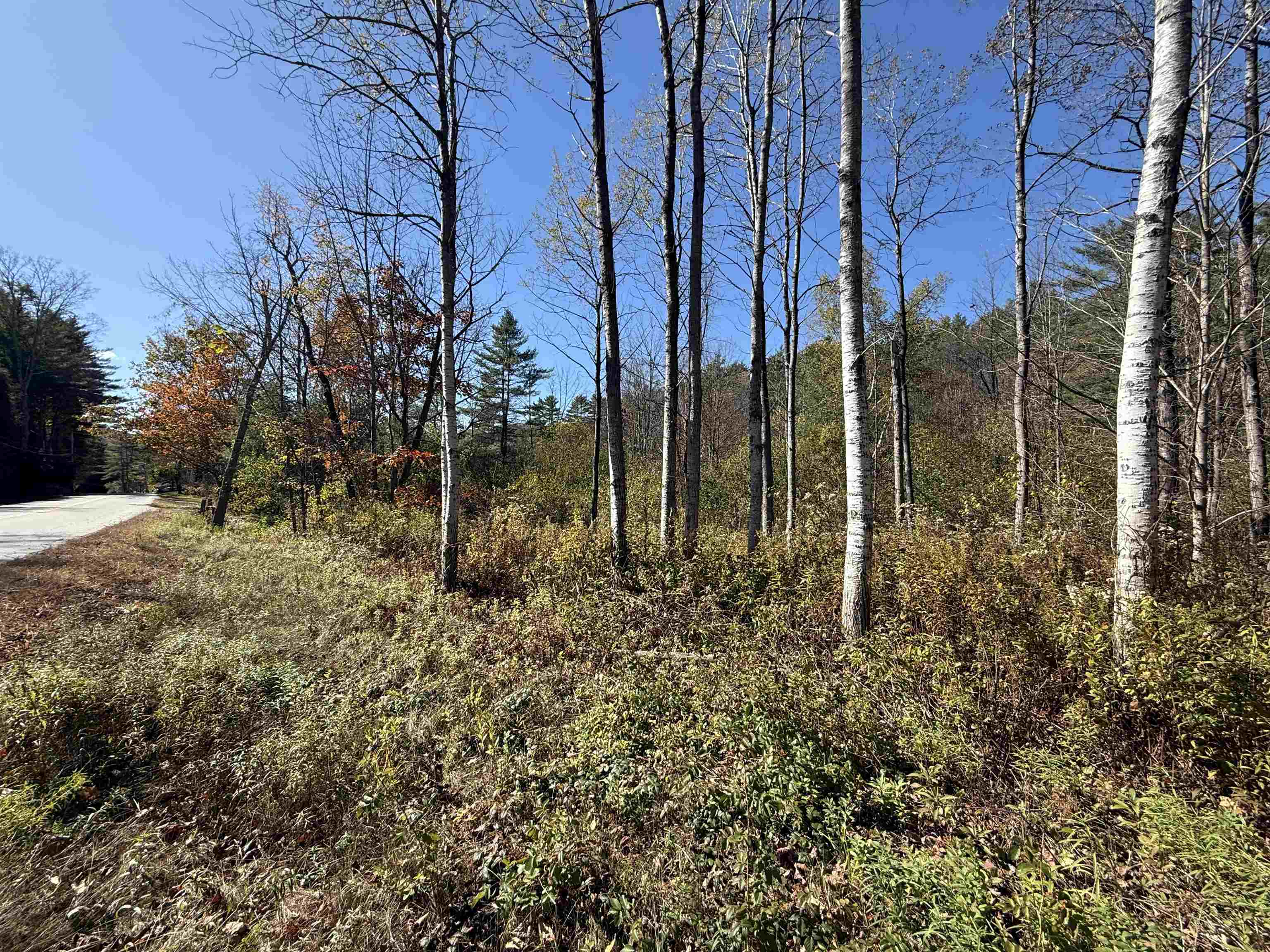 MLS #5066814 image #3