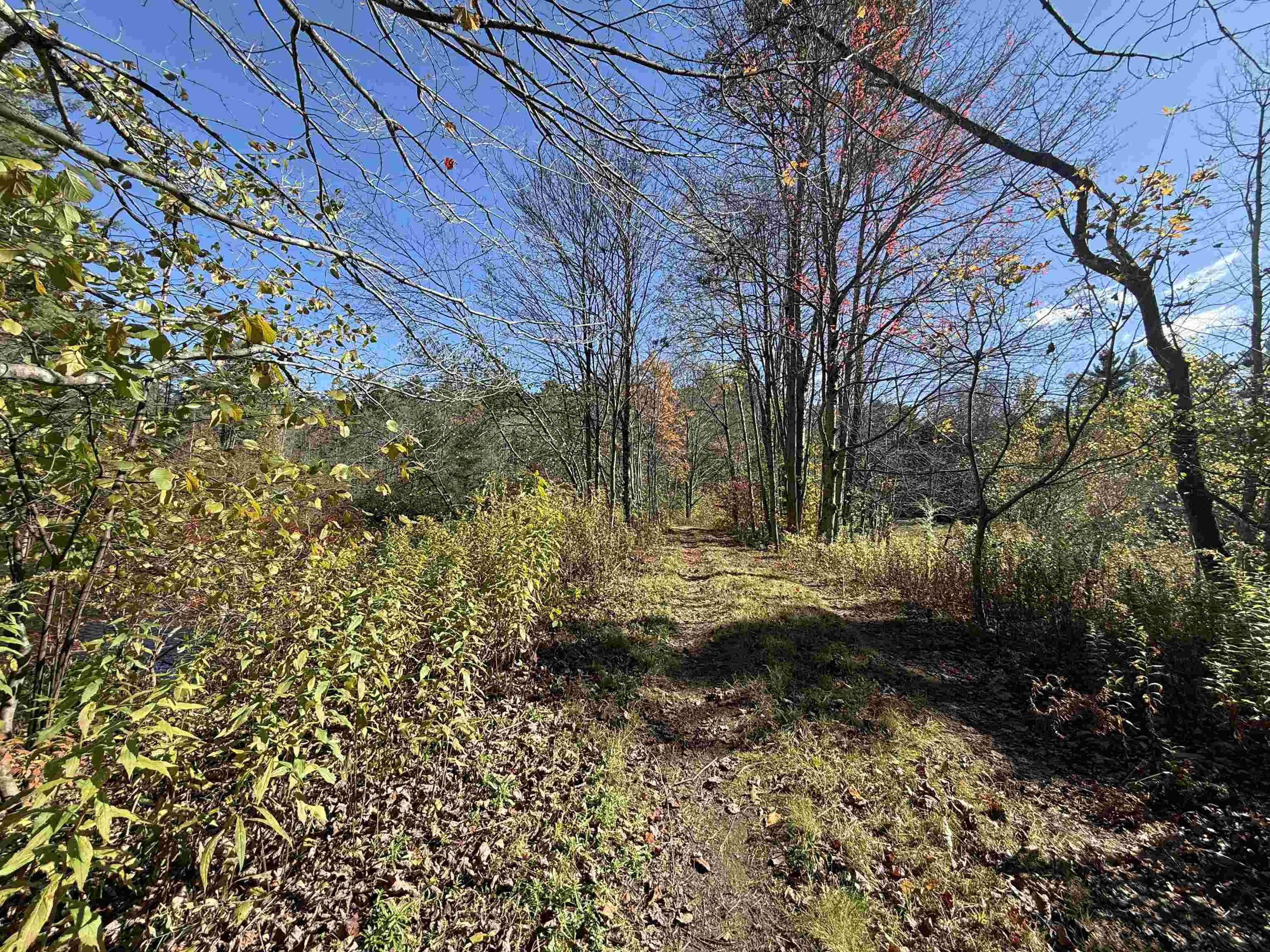 MLS #5066814 image #5