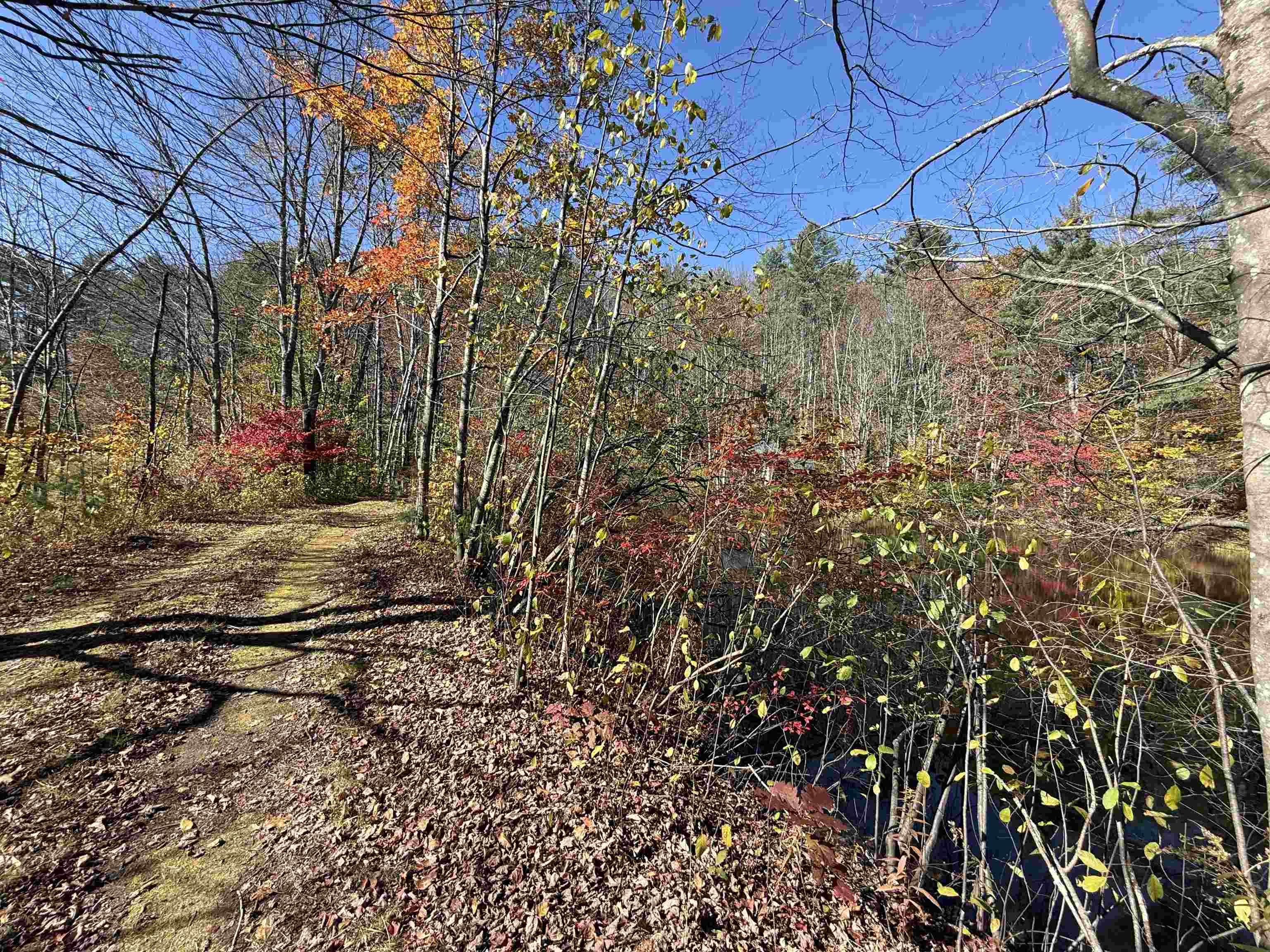 MLS #5066814 image #6