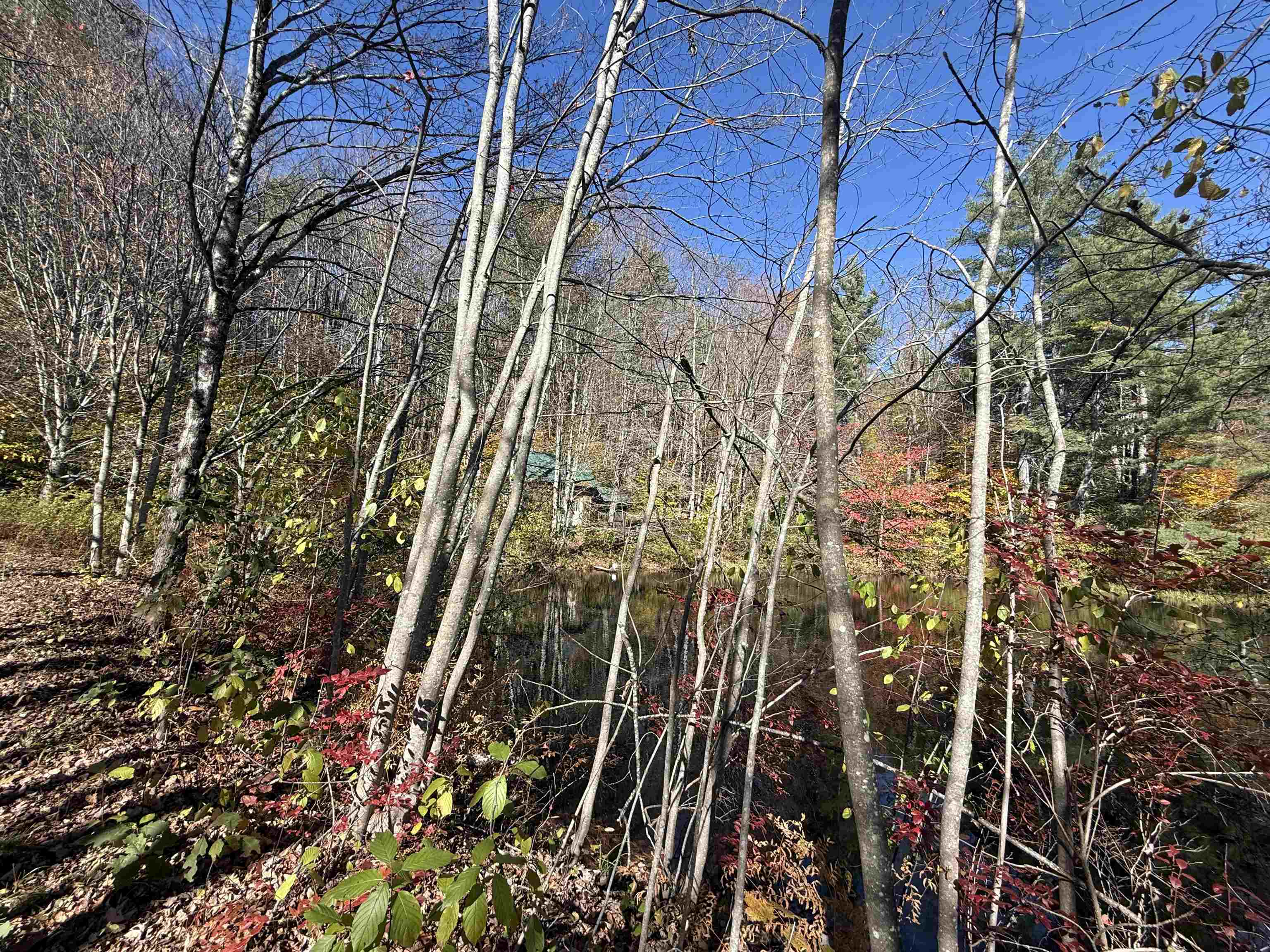 MLS #5066814 image #7