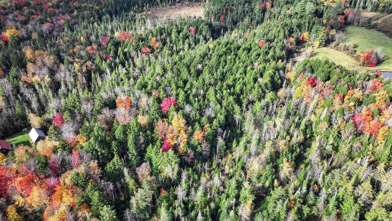 WARREN VT LAND  for sale $$59,000 | 3.5 Acres  | Price Per Acre $0 