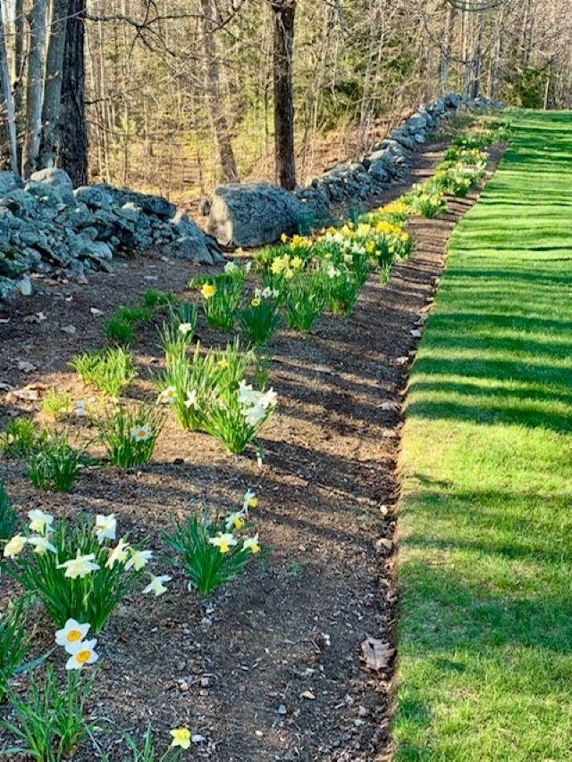 MLS #5066895 image #16