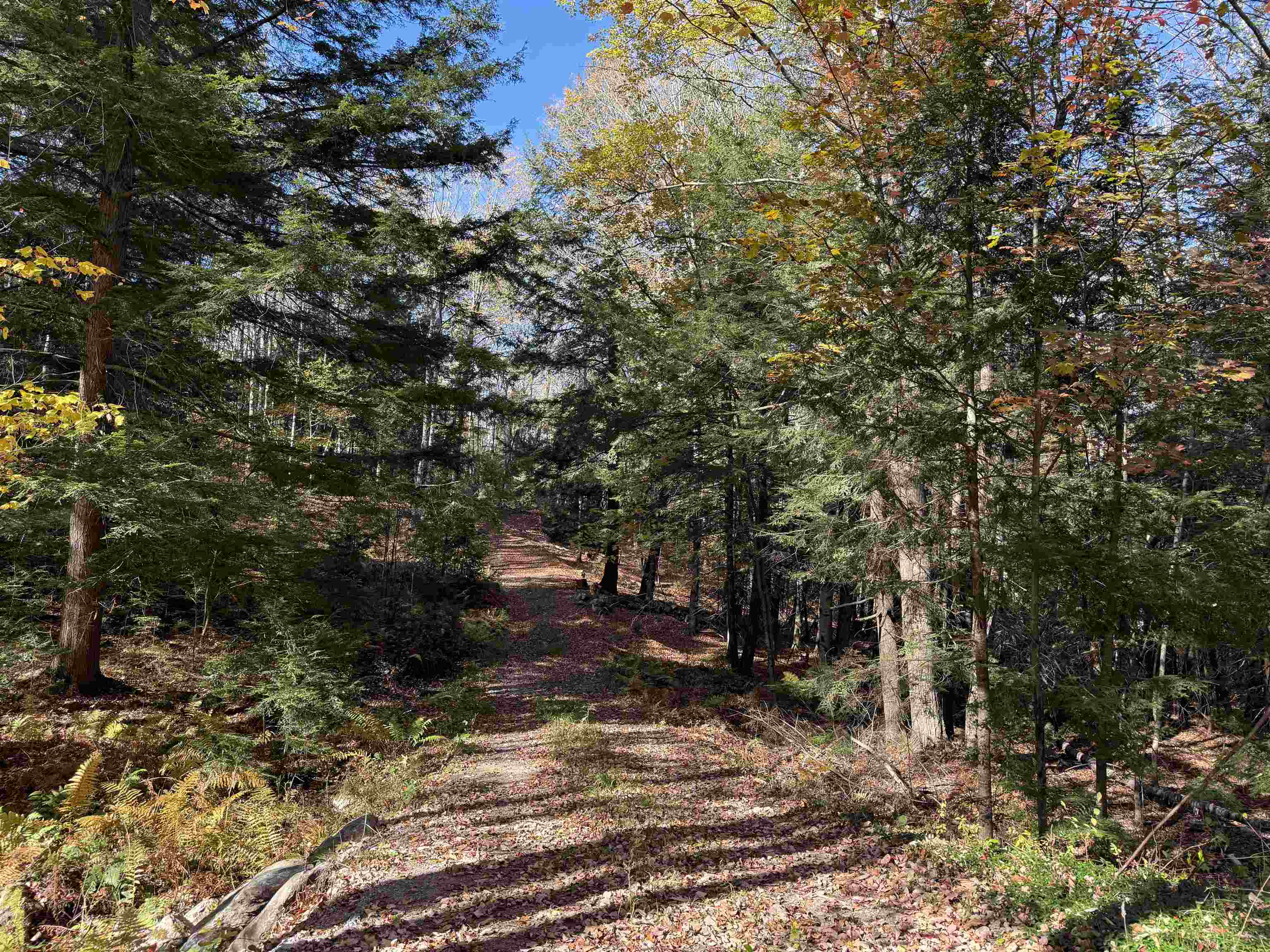 Road right to the spot