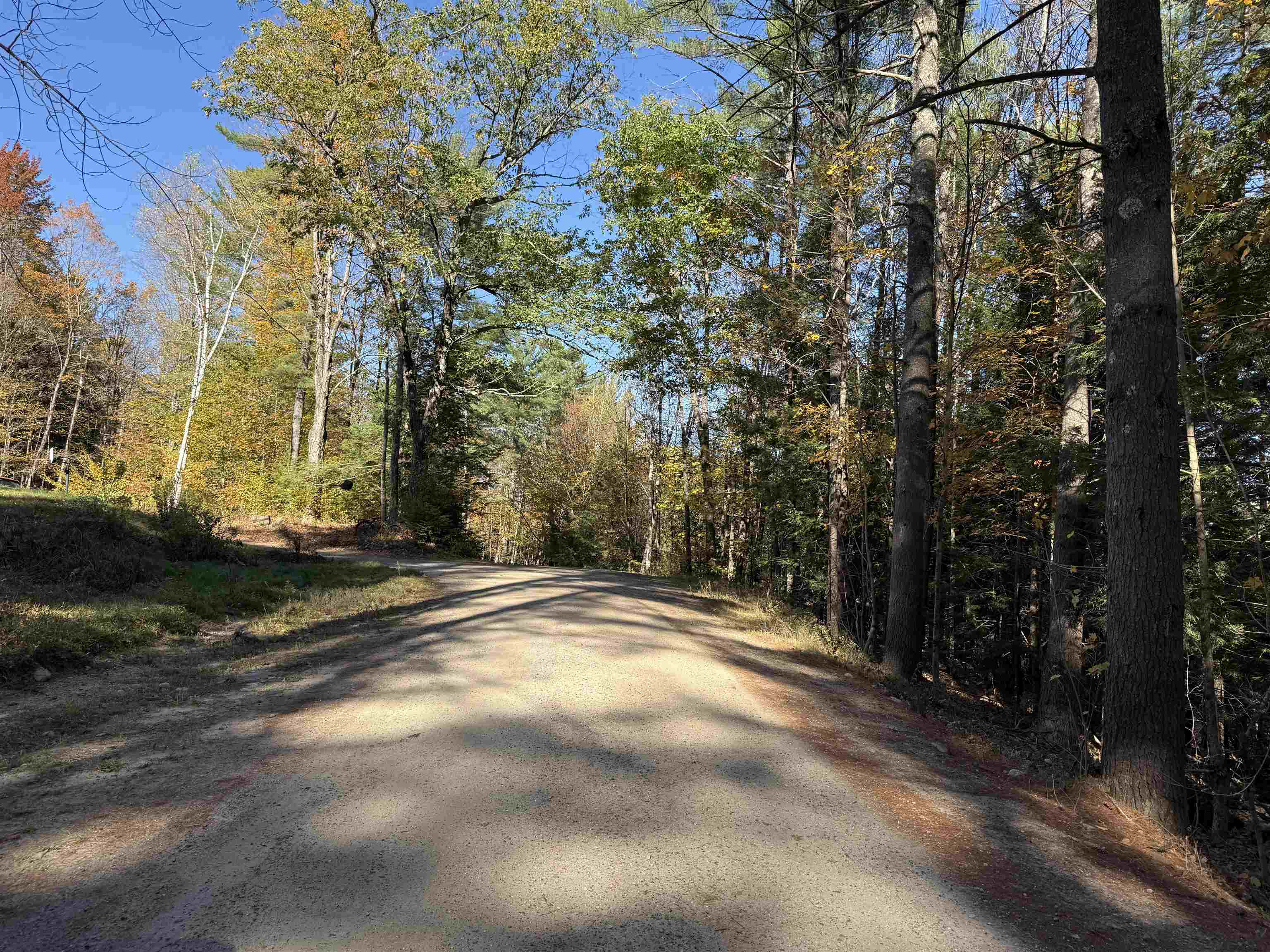 Wooley Pasture heading out
