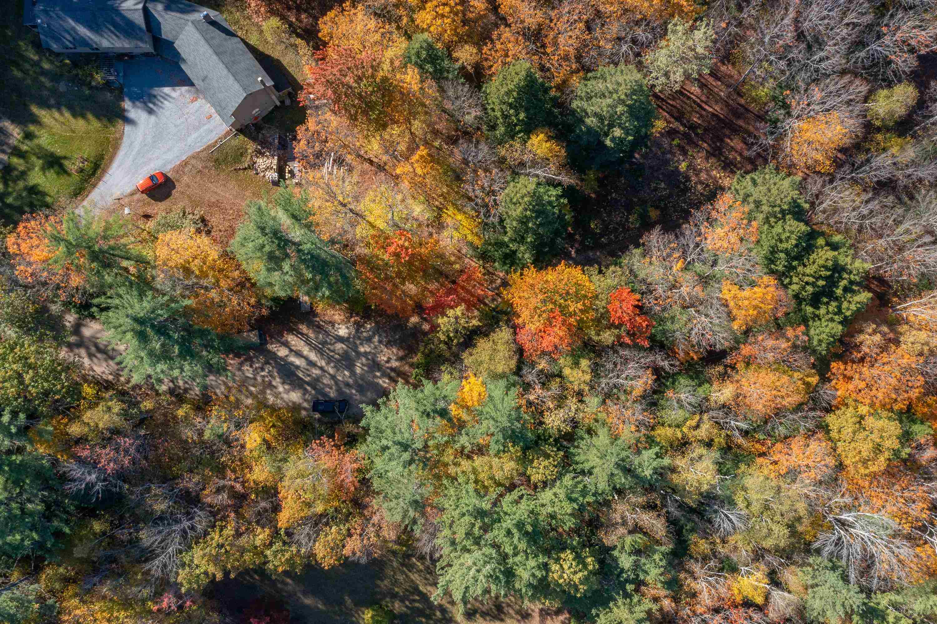 Potenial build location