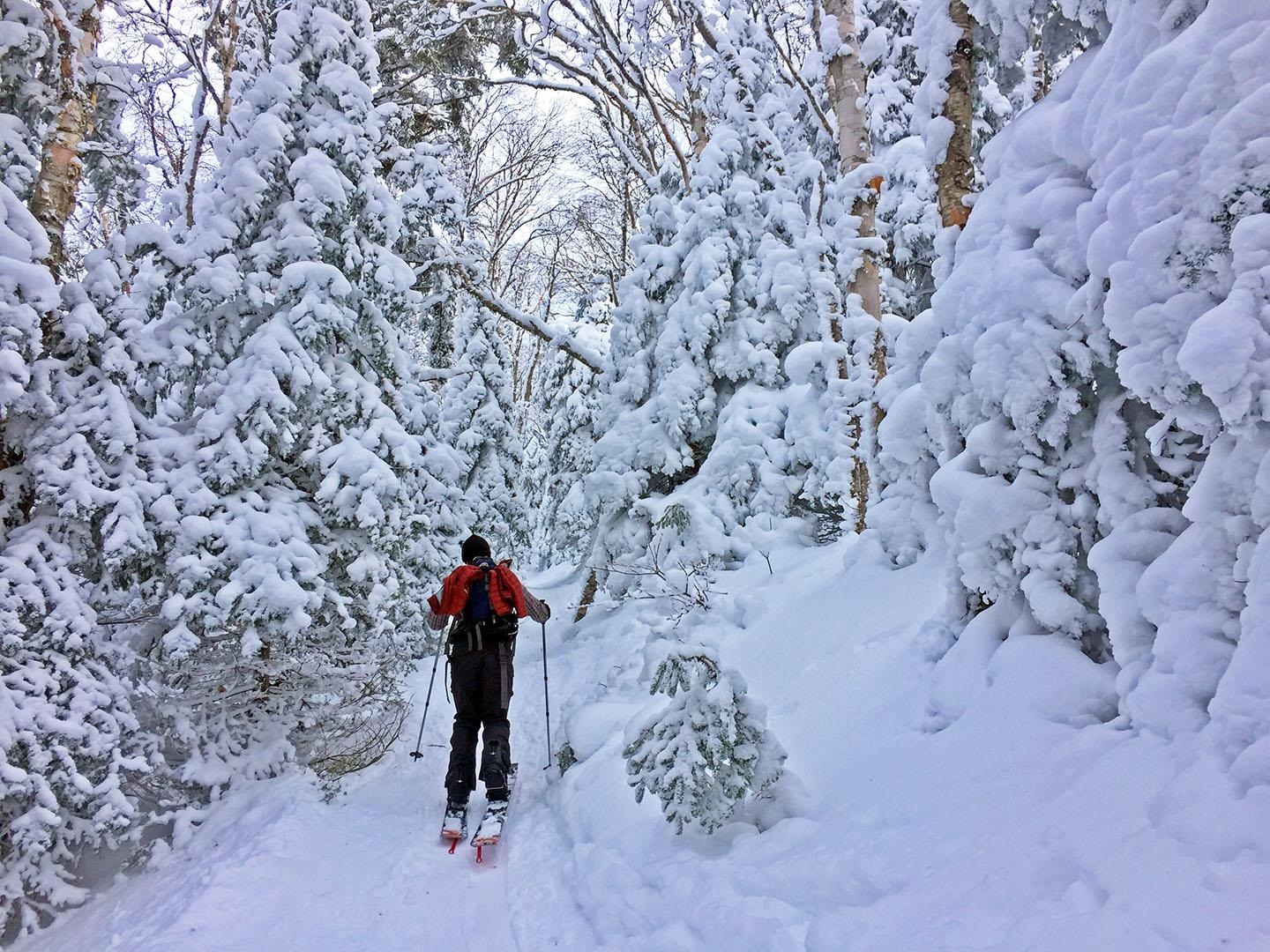 MLS #5066925 image #24