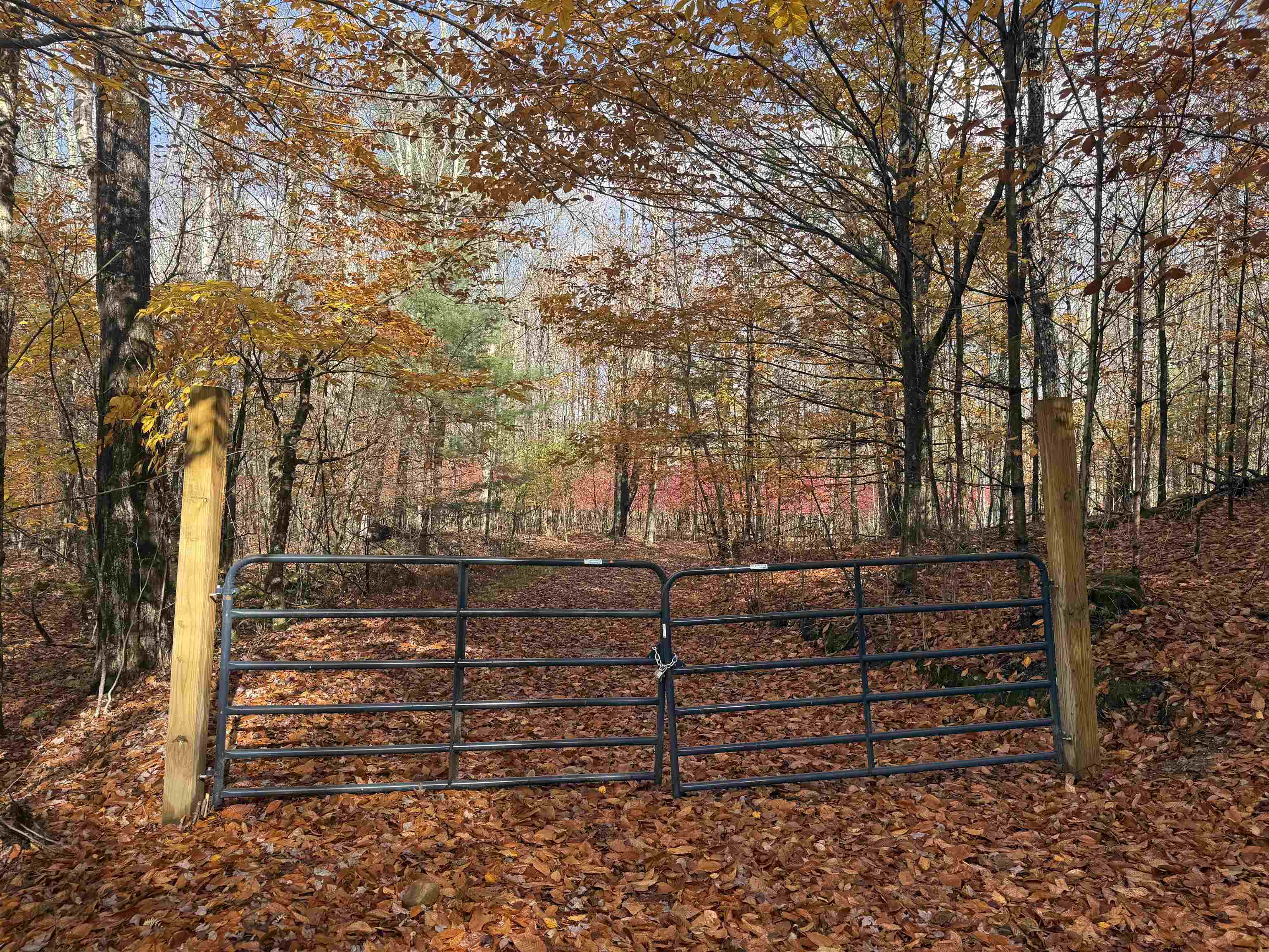 Homes for sale in Arlington, VT | 777 Butternut Gutter, Arlington, VT 05250 | MLS# 5066949