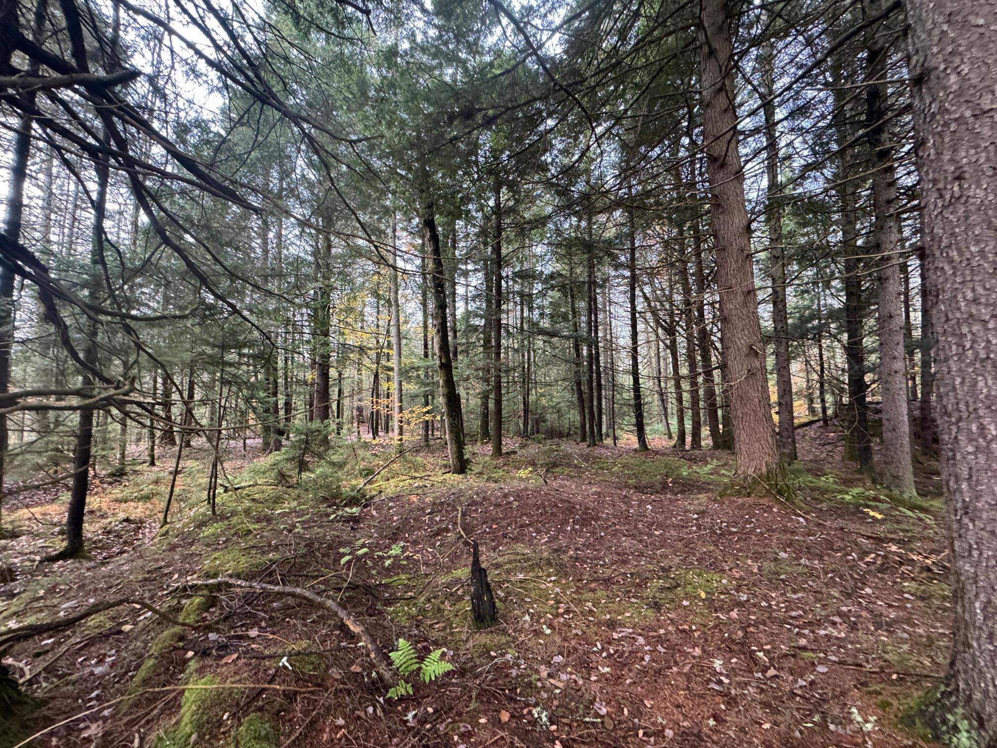 Homes for sale in Worcester, VT | 10 Hampshire Hill Rd, Worcester, VT 05682 | MLS# 5066963