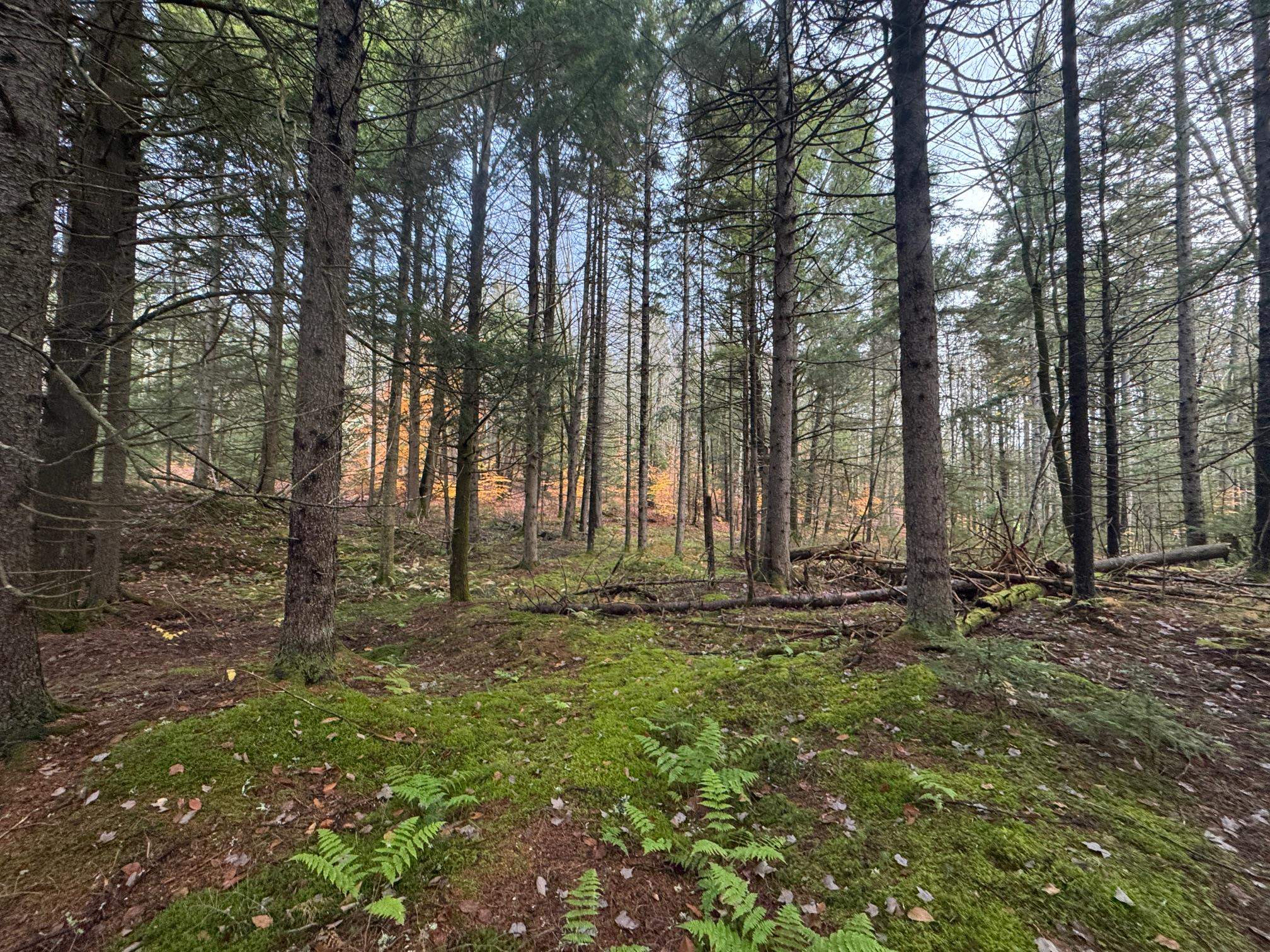 Homes for sale in Worcester, VT | 10 Hampshire Hill Rd, Worcester, VT 05682 | MLS# 5066963