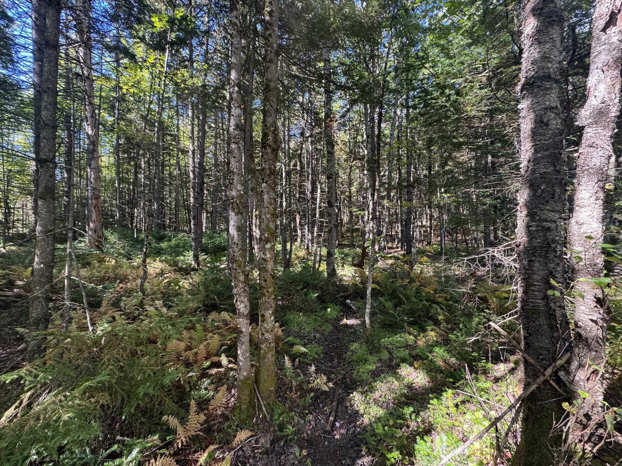 Homes for sale in Worcester, VT | 10 Hampshire Hill Rd, Worcester, VT 05682 | MLS# 5066963