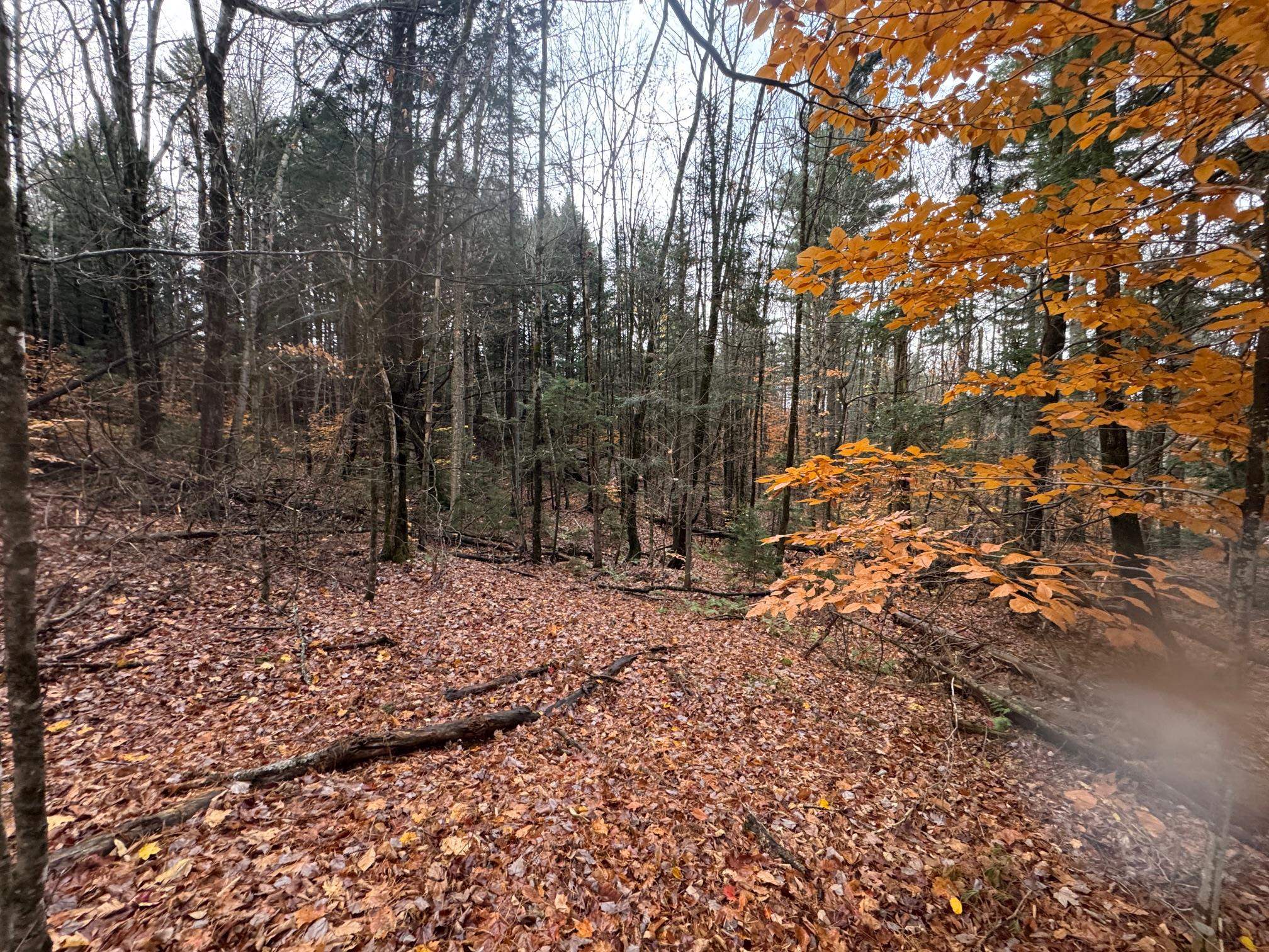 Homes for sale in Worcester, VT | 41 E Hampshire Hill Rd, Worcester, VT 05682 | MLS# 5066965