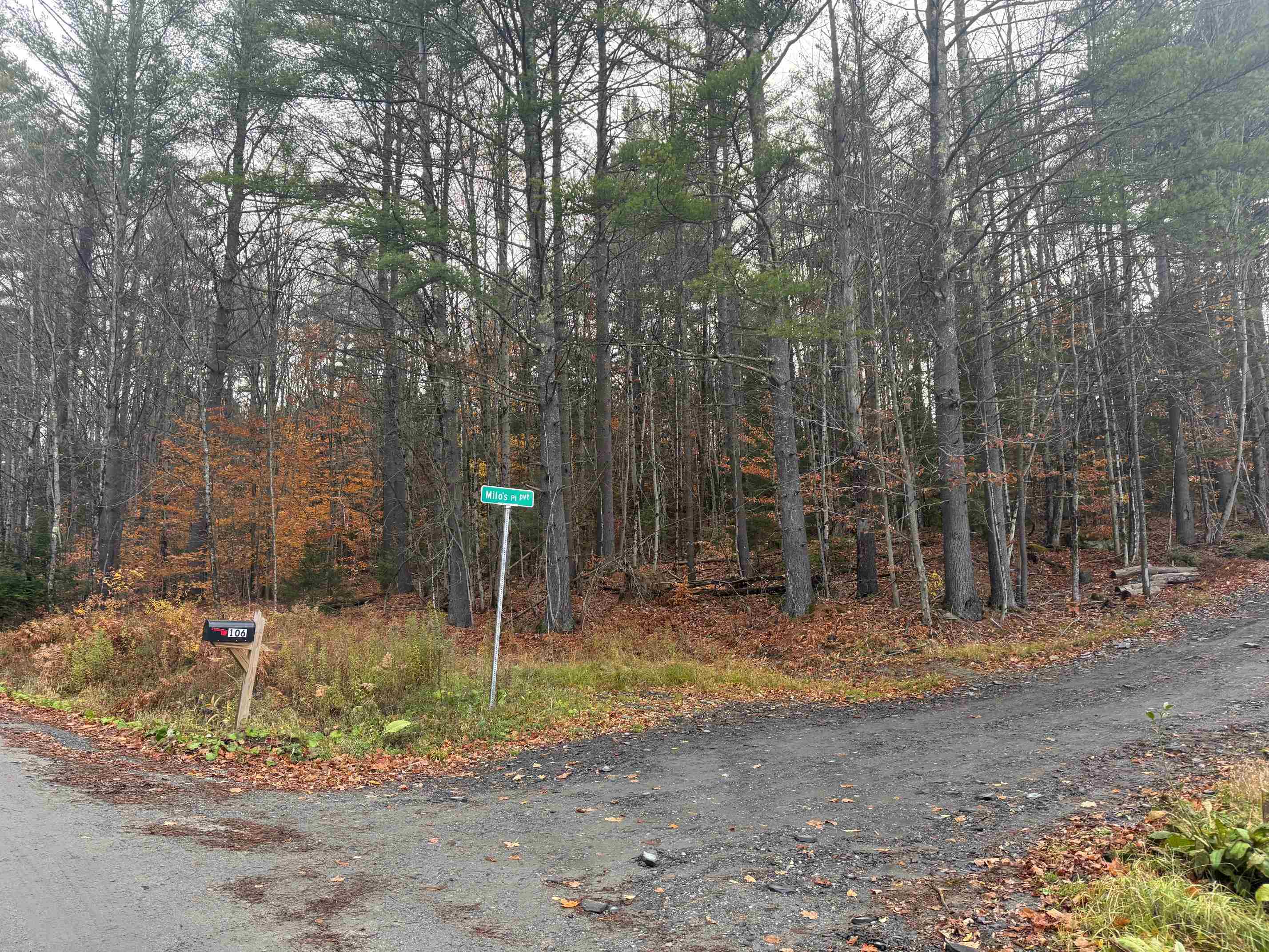 Homes for sale in Worcester, VT | 41 E Hampshire Hill Rd, Worcester, VT 05682 | MLS# 5066965