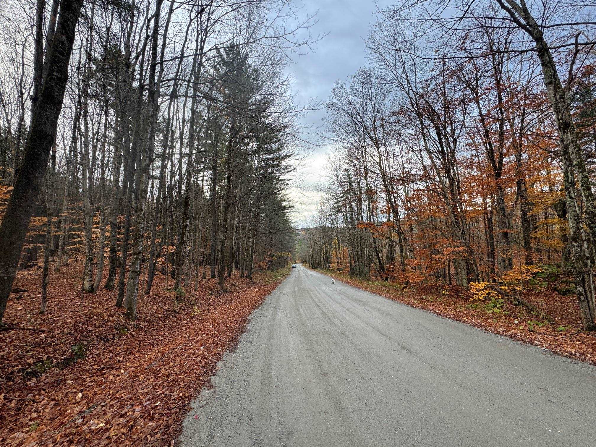 Homes for sale in Worcester, VT | 41 E Hampshire Hill Rd, Worcester, VT 05682 | MLS# 5066965