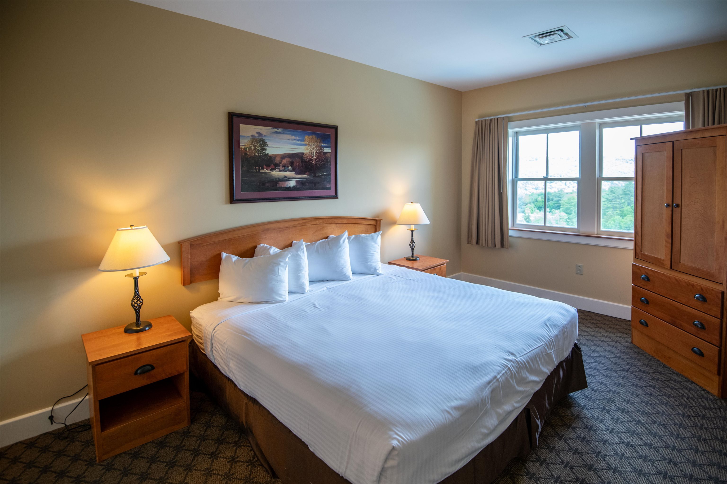 King bed with a view 24294443