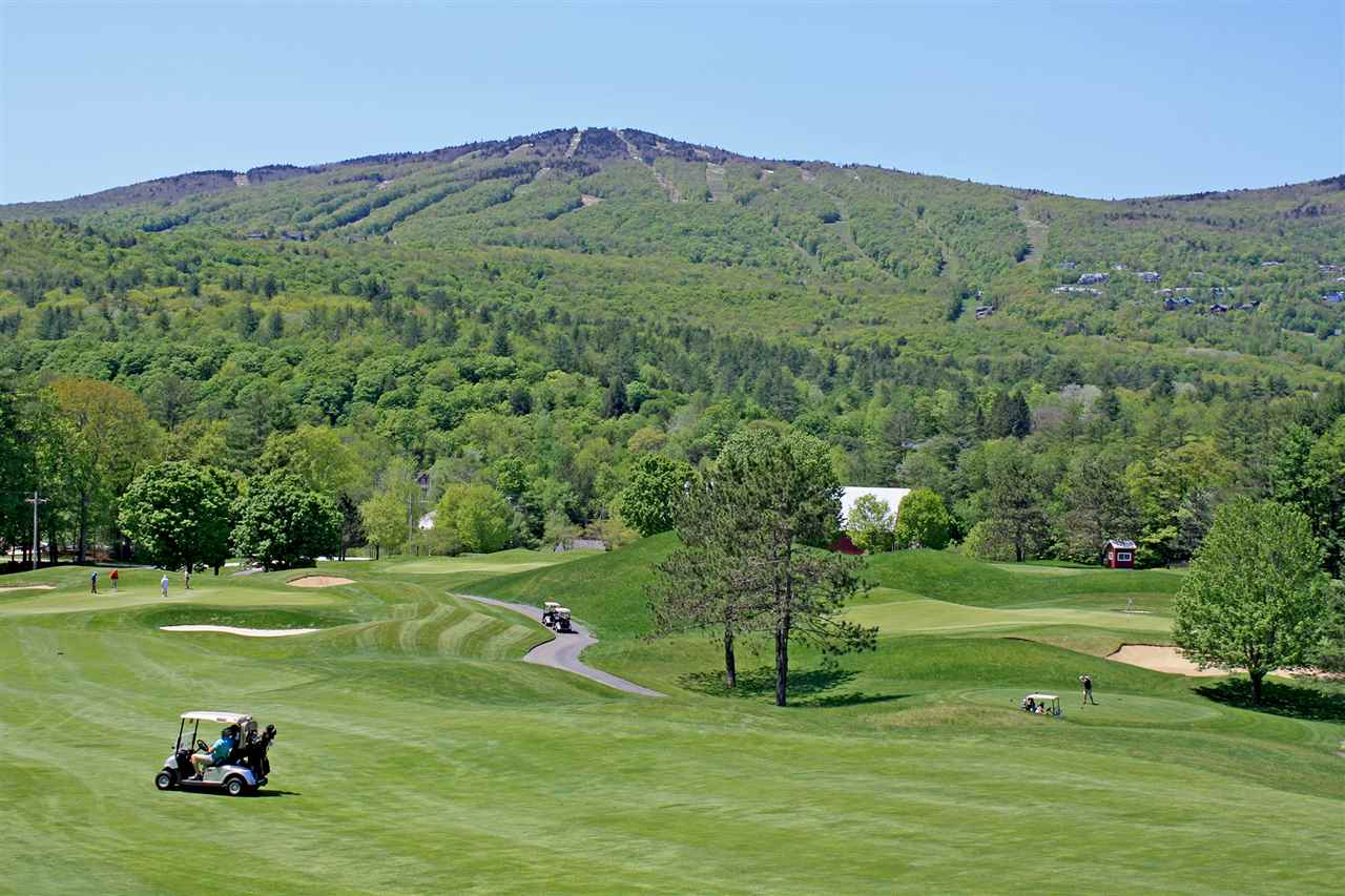 Close to excellent golf at Fox Run 24294464