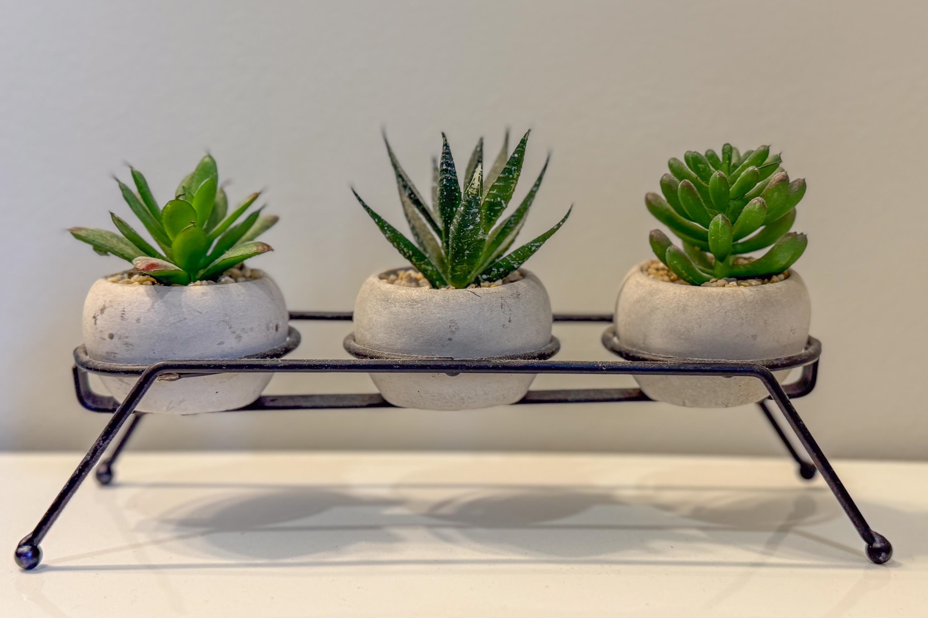 MLS #5067142 image #23