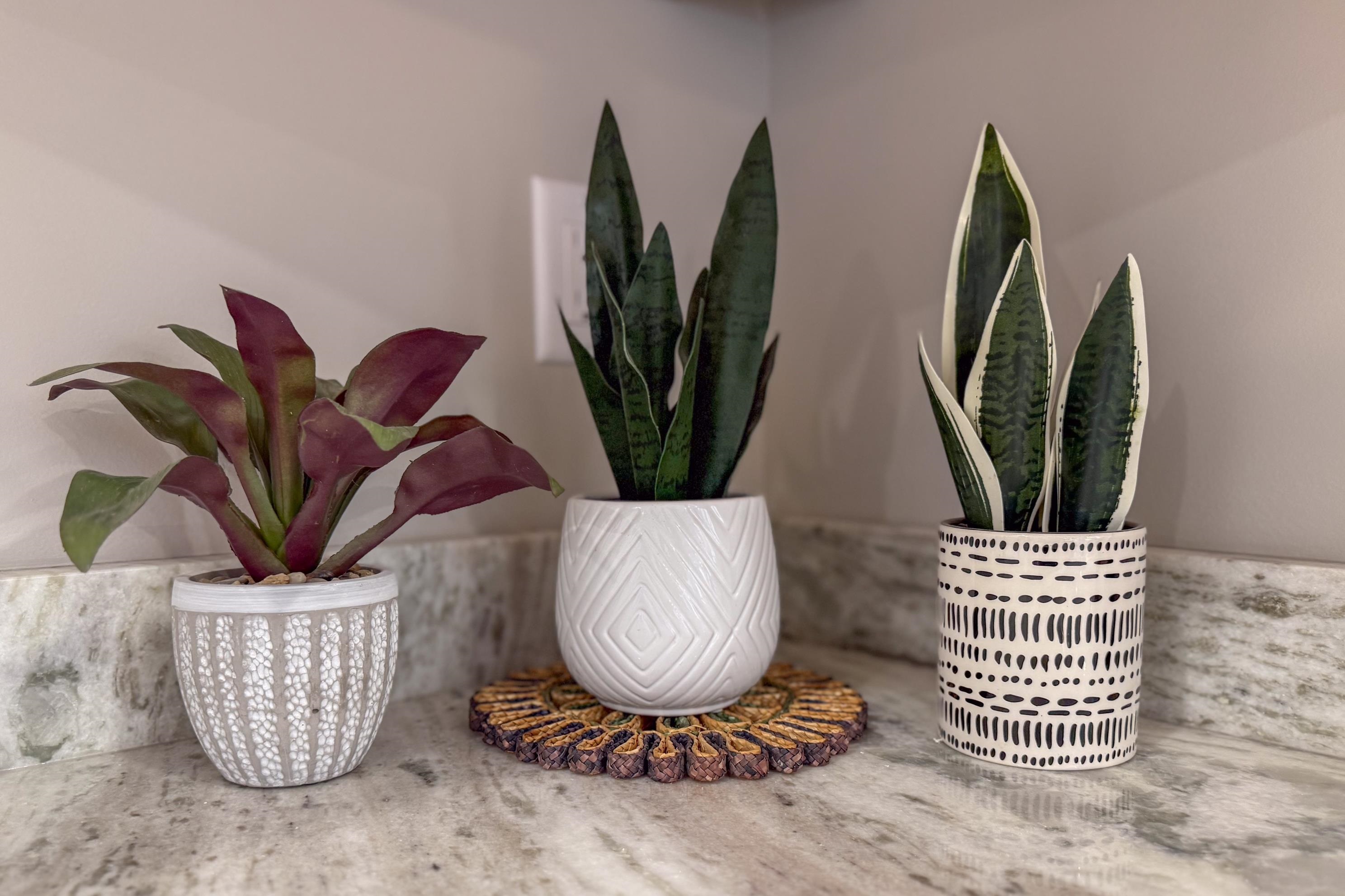 MLS #5067142 image #6