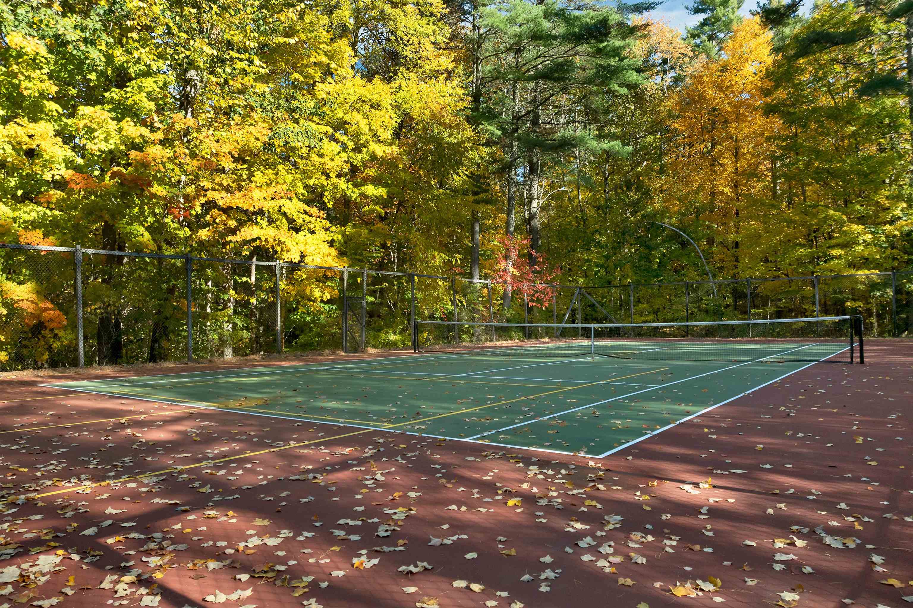 MLS #5067226 image #7