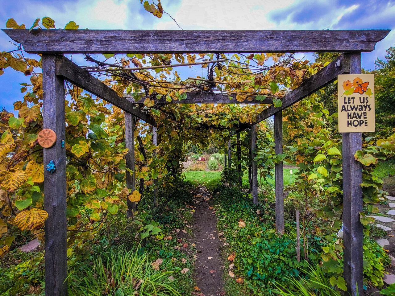 Homes for sale in Burlington, VT | 354 Manhattan Dr #10, Burlington, VT 05401 | MLS# 5067236