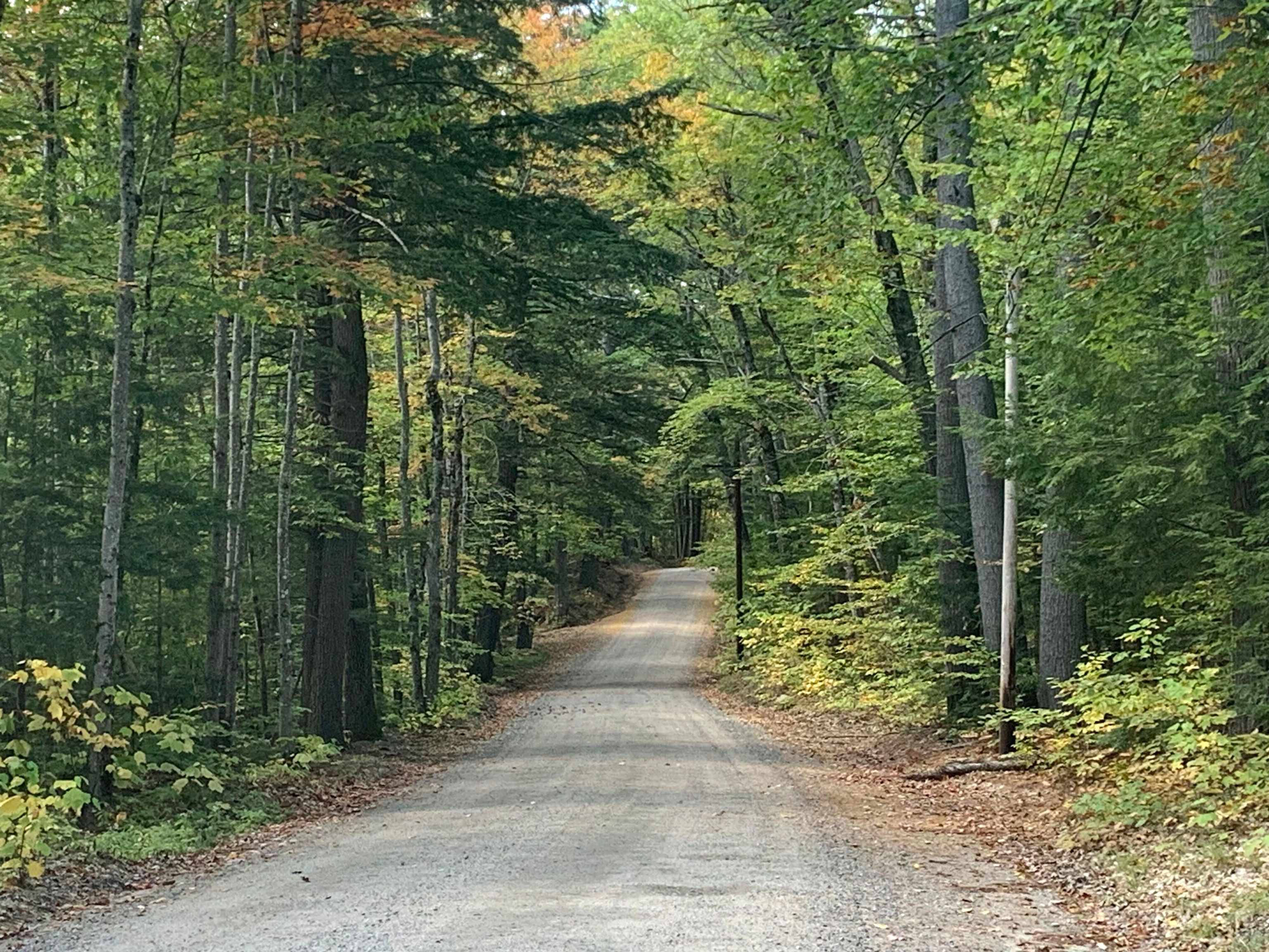 Thurley Road Well Maintained