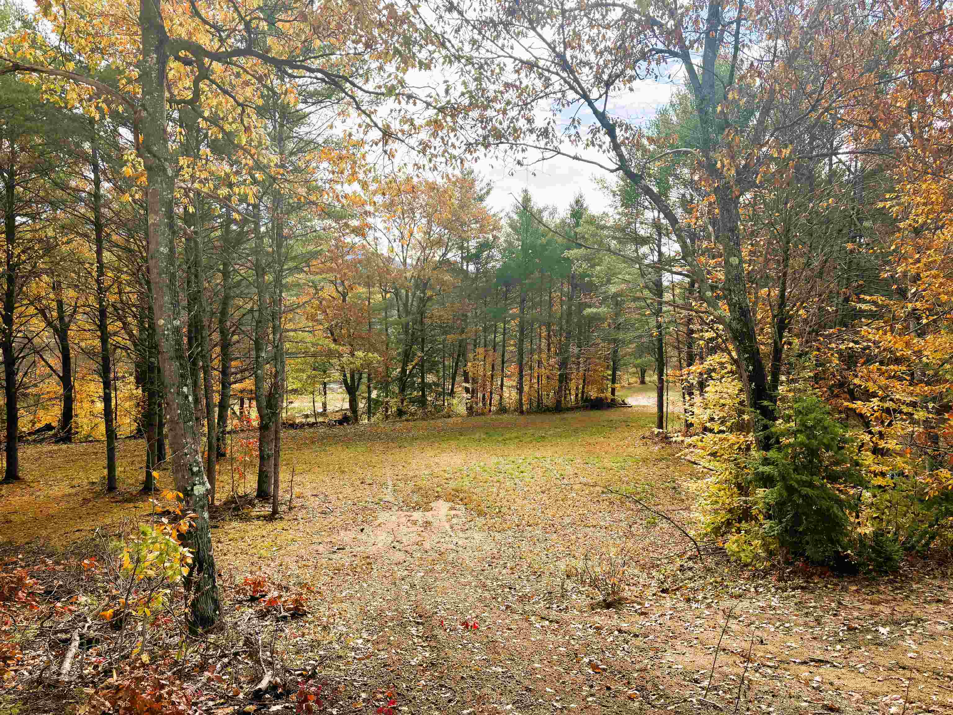 MLS #5067271 image #10