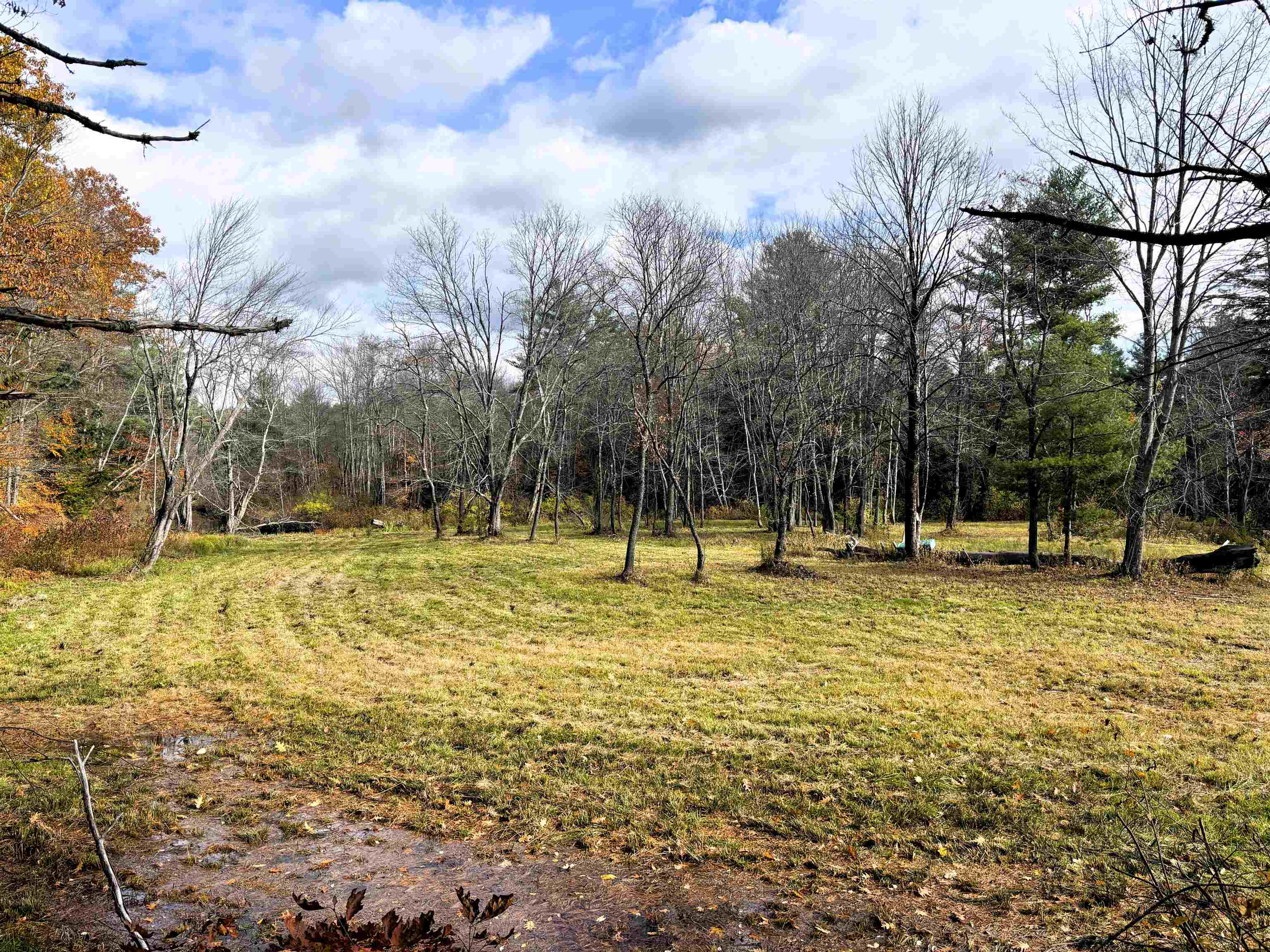 MLS #5067271 image #15