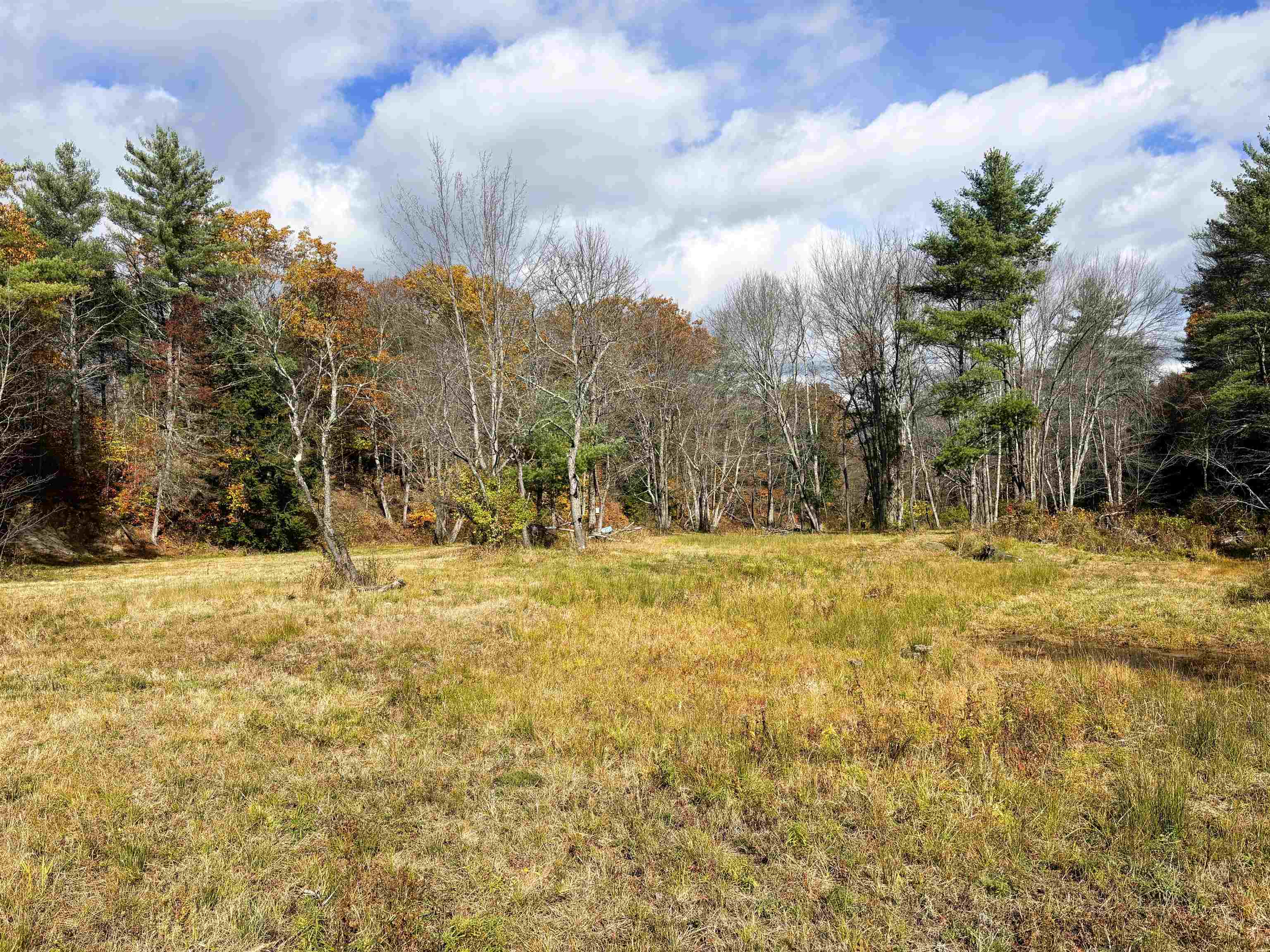 MLS #5067271 image #17